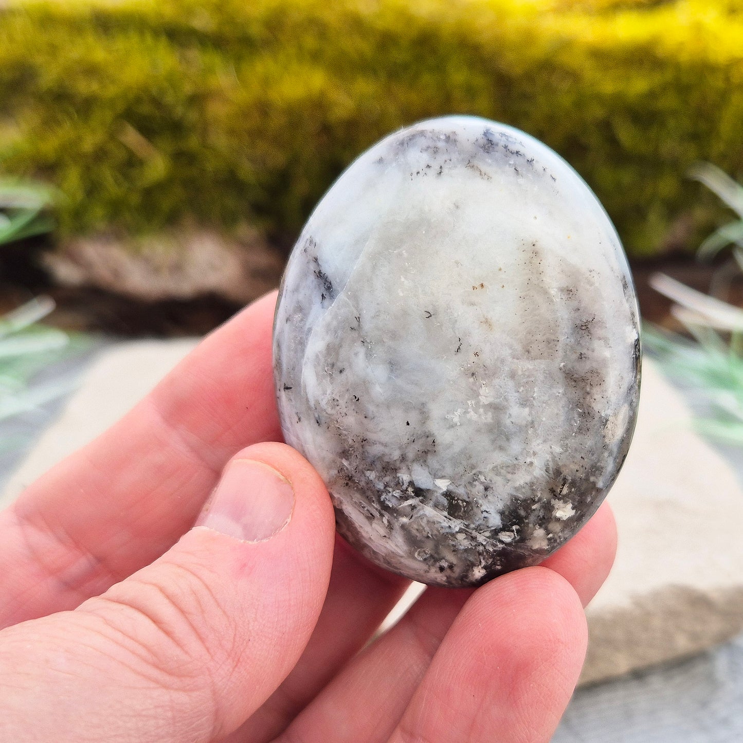 This beautiful Dendritic Opal palm stone features a stunning natural blend of milky white opal with delicate dendritic inclusions. Polished and shaped to fit comfortably in your hand,