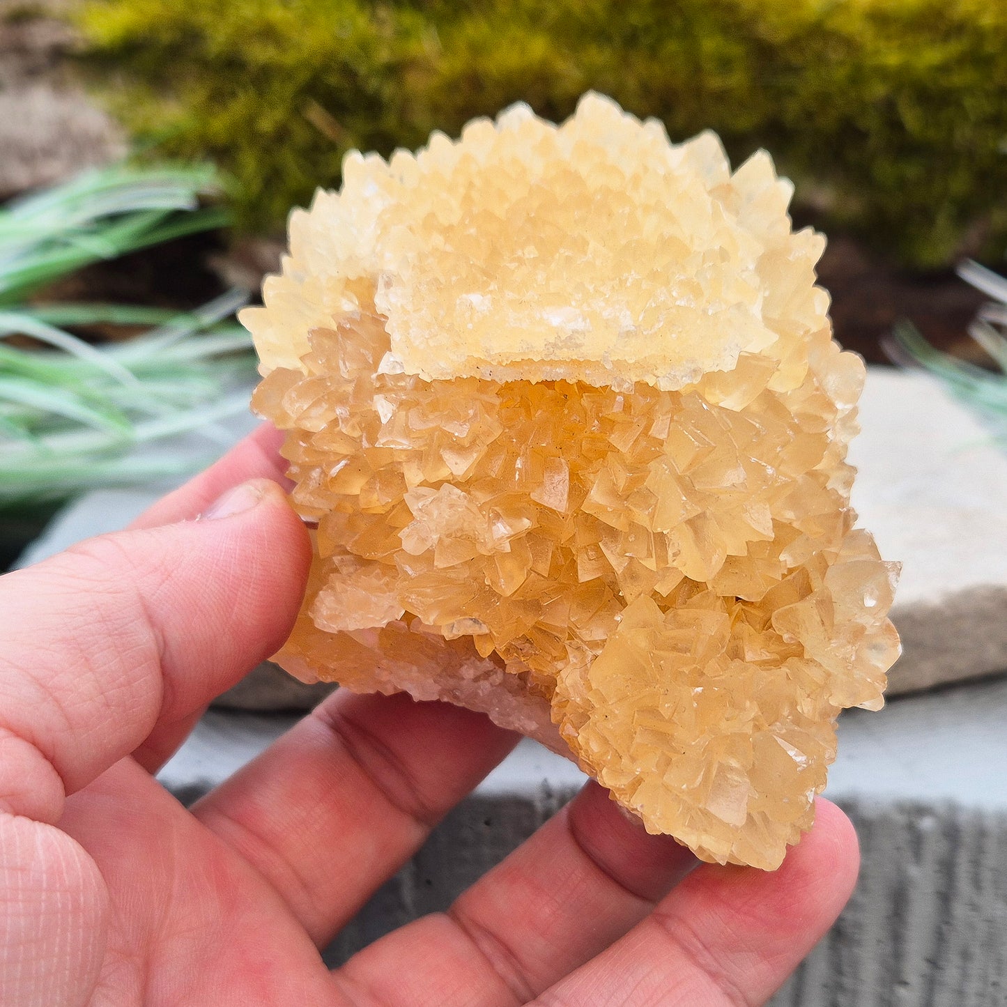 Natural Golden Healer Quartz Cluster from Indonesia. High-vibration crystal, perfect for meditation, energy work, and spiritual connection.