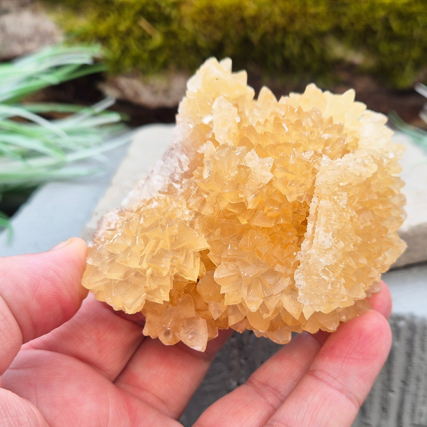 Natural Golden Healer Quartz Cluster from Indonesia. High-vibration crystal, perfect for meditation, energy work, and spiritual connection.