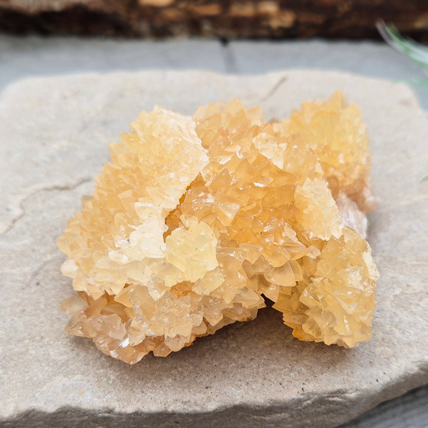 Natural Golden Healer Quartz Cluster from Indonesia. High-vibration crystal, perfect for meditation, energy work, and spiritual connection.