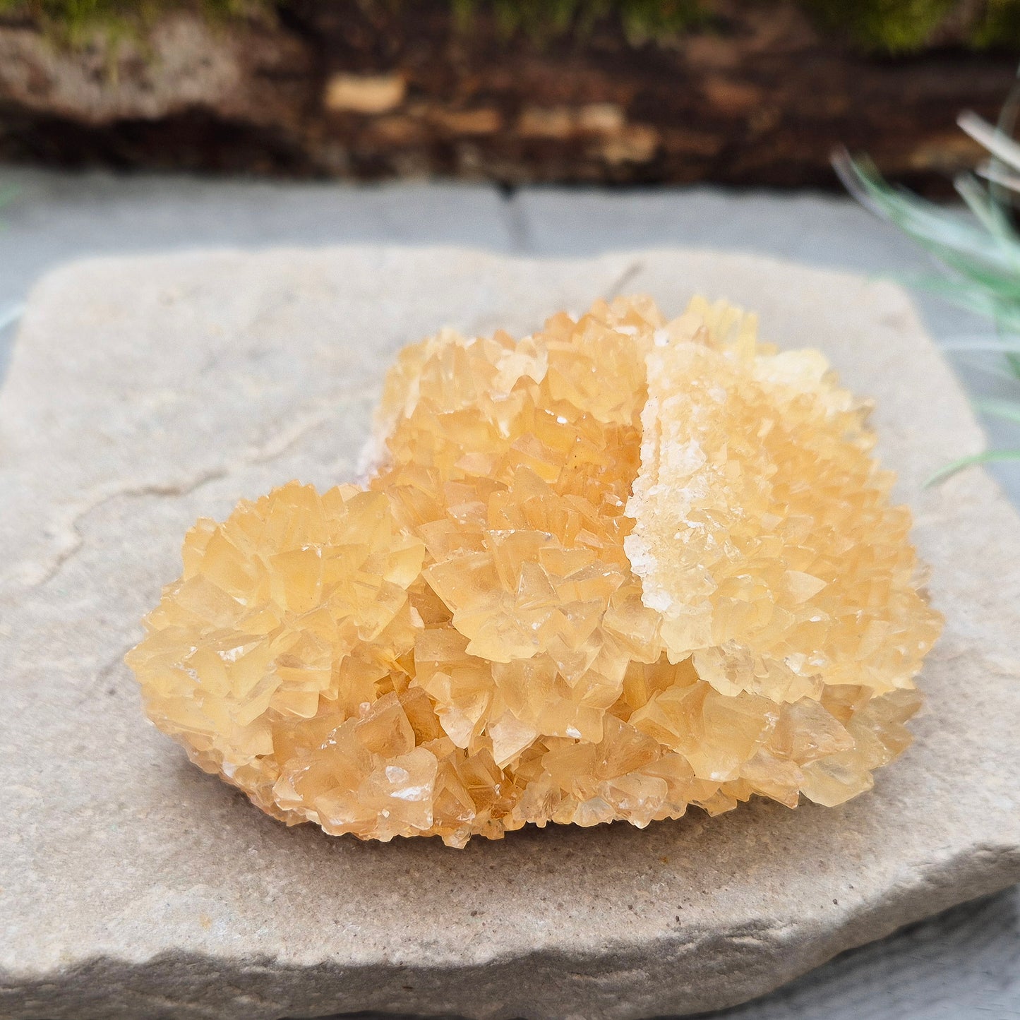 Natural Golden Healer Quartz Cluster from Indonesia. High-vibration crystal, perfect for meditation, energy work, and spiritual connection.