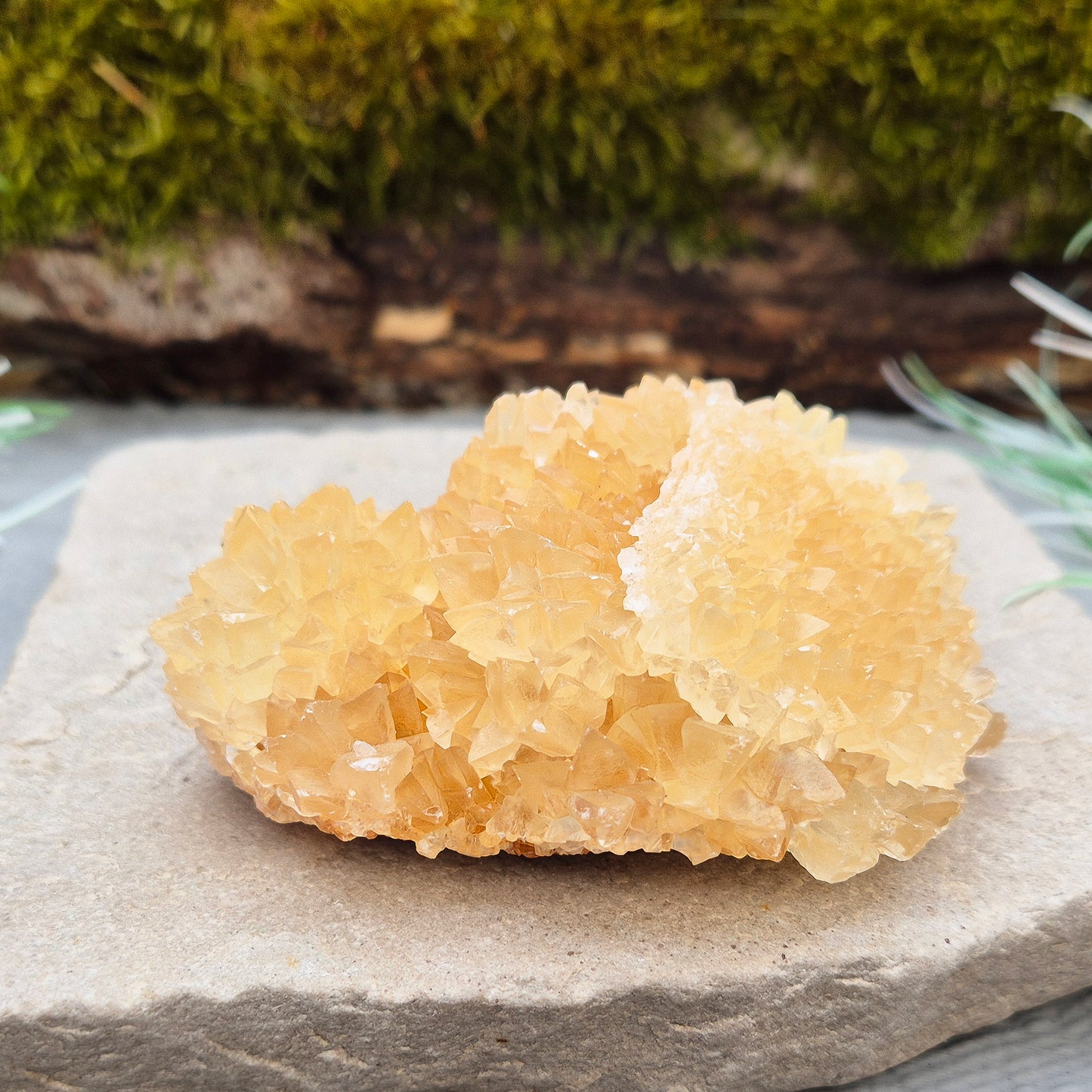 Natural Golden Healer Quartz Cluster from Indonesia. High-vibration crystal, perfect for meditation, energy work, and spiritual connection.