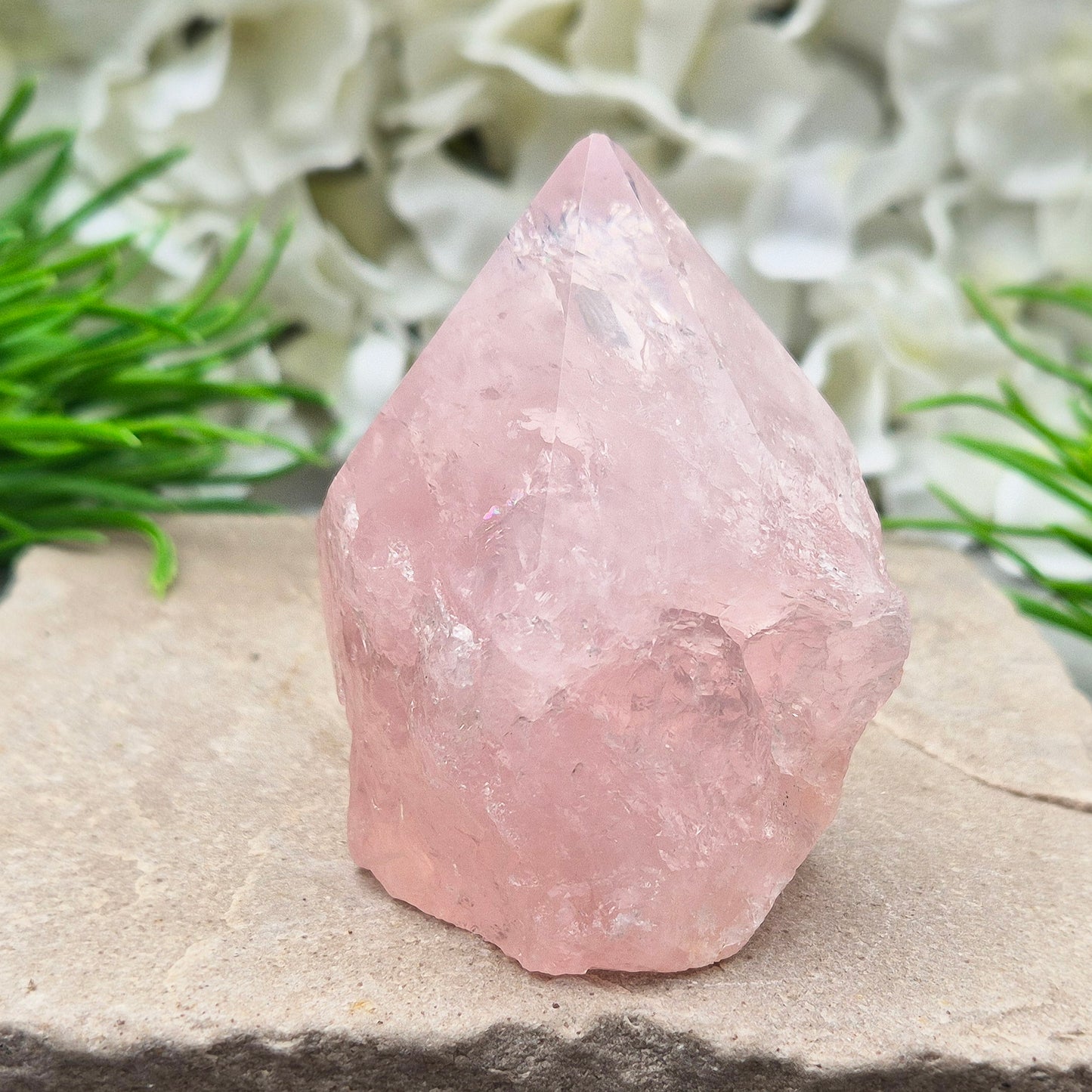 Rose Quartz Crystal Standing Point. This beautiful Rose Quartz standing point comes from Brazil and features a soft, pale pink hue. The polished point and flat, polished base give it a clean, elegant look, while the rest of the crystal remains in its natural form.