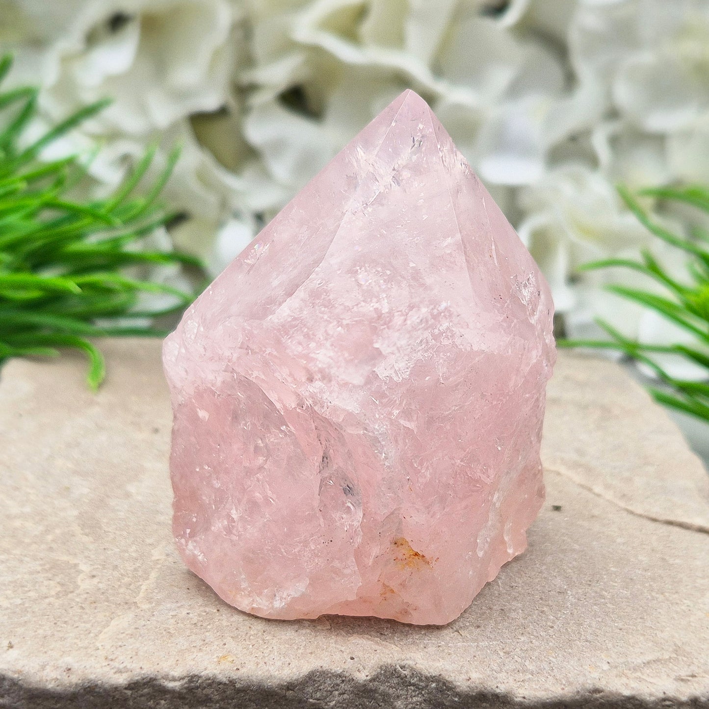 Rose Quartz Crystal Standing Point. This beautiful Rose Quartz standing point comes from Brazil and features a soft, pale pink hue. The polished point and flat, polished base give it a clean, elegant look, while the rest of the crystal remains in its natural form.
