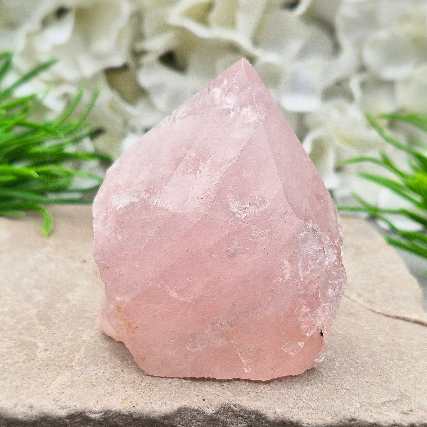 Rose Quartz Crystal Standing Point. This beautiful Rose Quartz standing point comes from Brazil and features a soft, pale pink hue. The polished point and flat, polished base give it a clean, elegant look, while the rest of the crystal remains in its natural form.