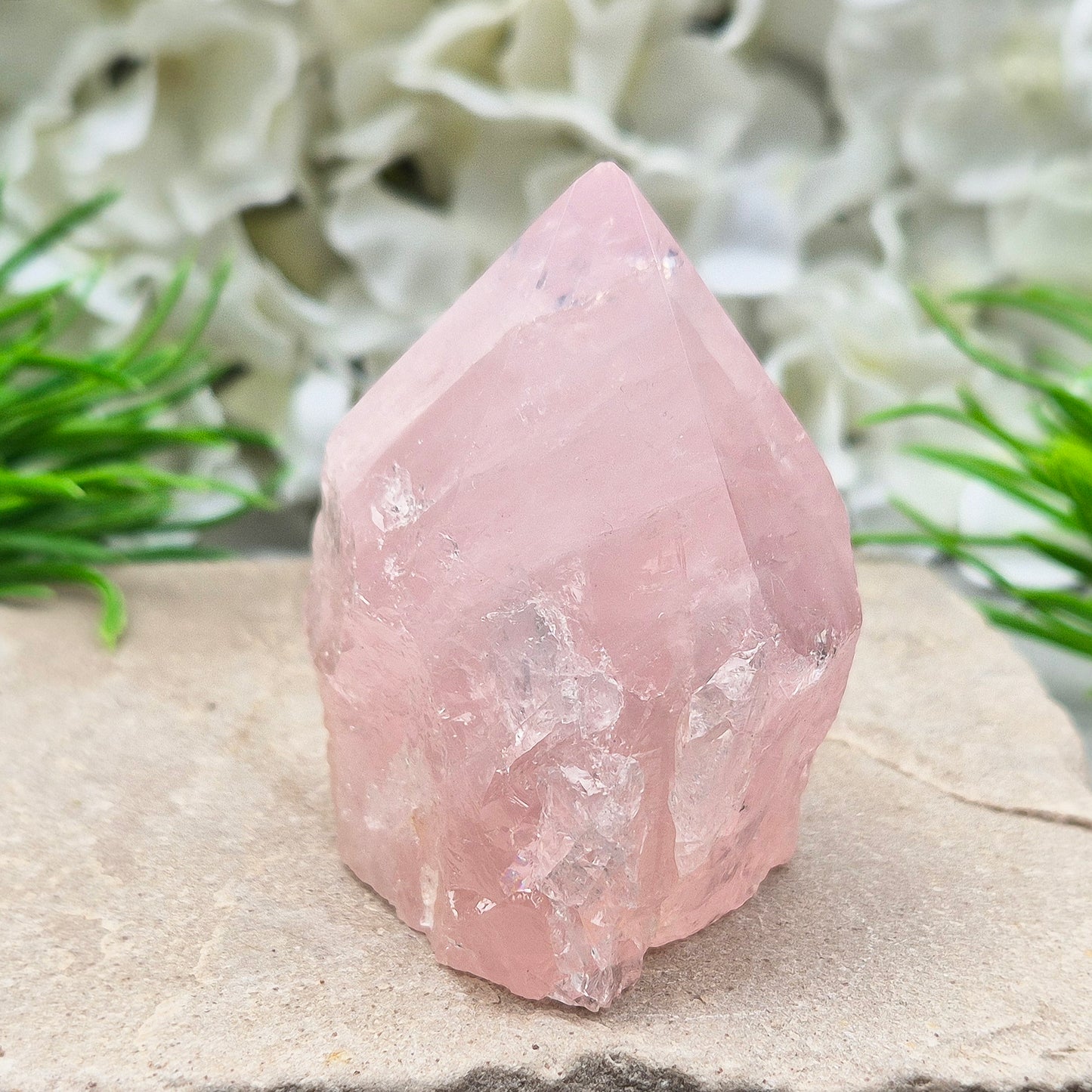 Rose Quartz Crystal Standing Point. This beautiful Rose Quartz standing point comes from Brazil and features a soft, pale pink hue. The polished point and flat, polished base give it a clean, elegant look, while the rest of the crystal remains in its natural form.
