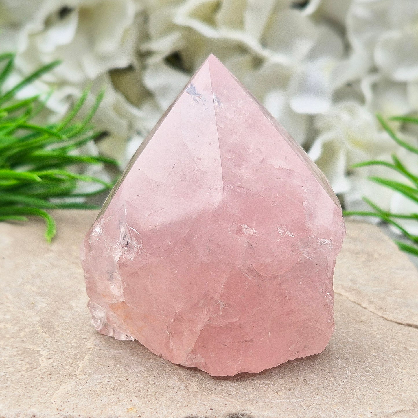 Rose Quartz Crystal Standing Point. This beautiful Rose Quartz standing point comes from Brazil and features a soft, pale pink hue. The polished point and flat, polished base give it a clean, elegant look, while the rest of the crystal remains in its natural form.