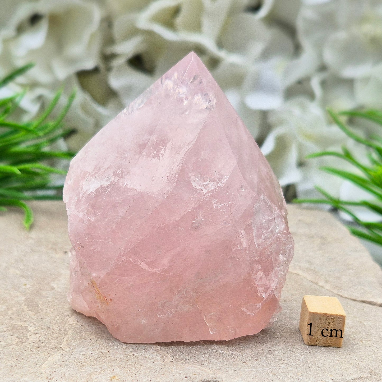 Rose Quartz Crystal - Standing Point | Display in Home, Office or Sacred Space | Self Love
