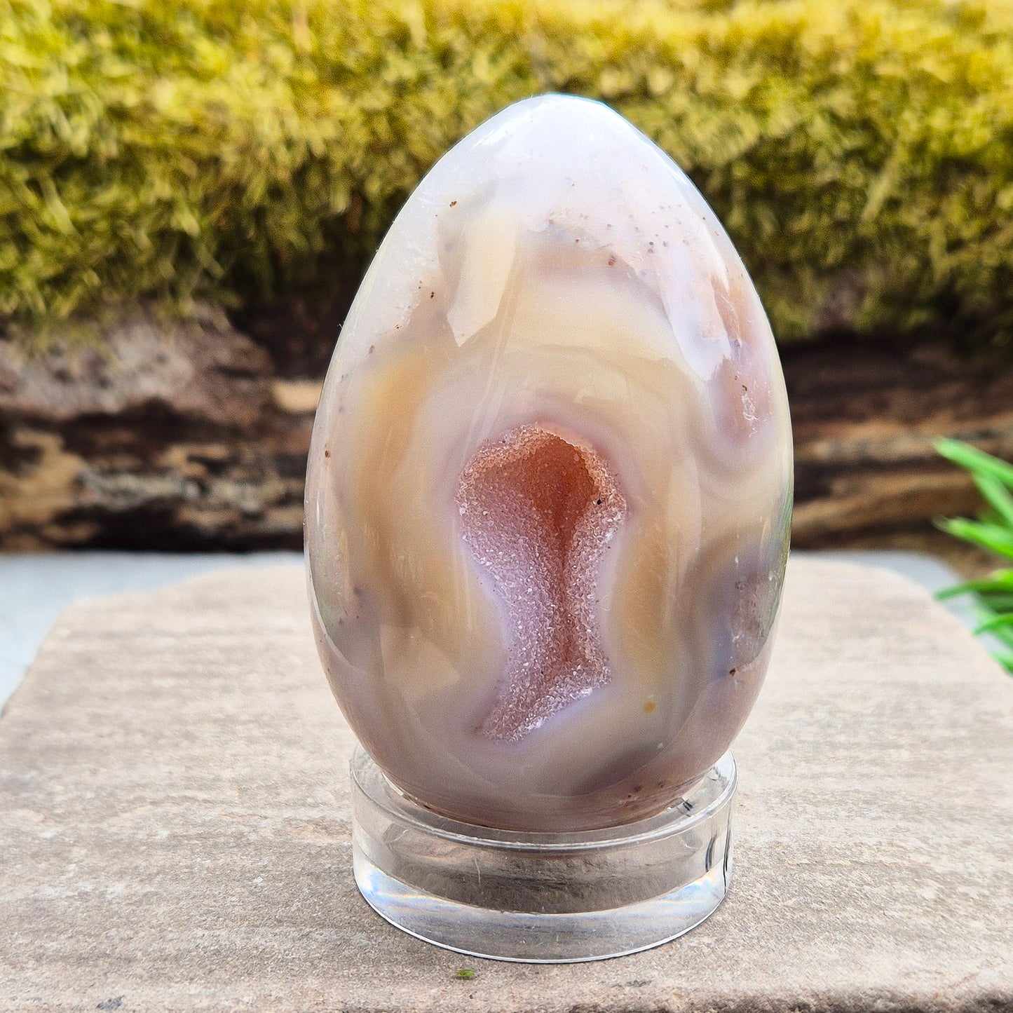 This beautiful Druzy Agate egg from Brazil is polished and showcases a sparkling pocket of natural druzy crystals in the middle of it. It comes with a clear acrylic stand, making it a lovely addition to any space or crystal shelf. Its soft, steady energy brings emotional calm, grounding, and quiet strength.