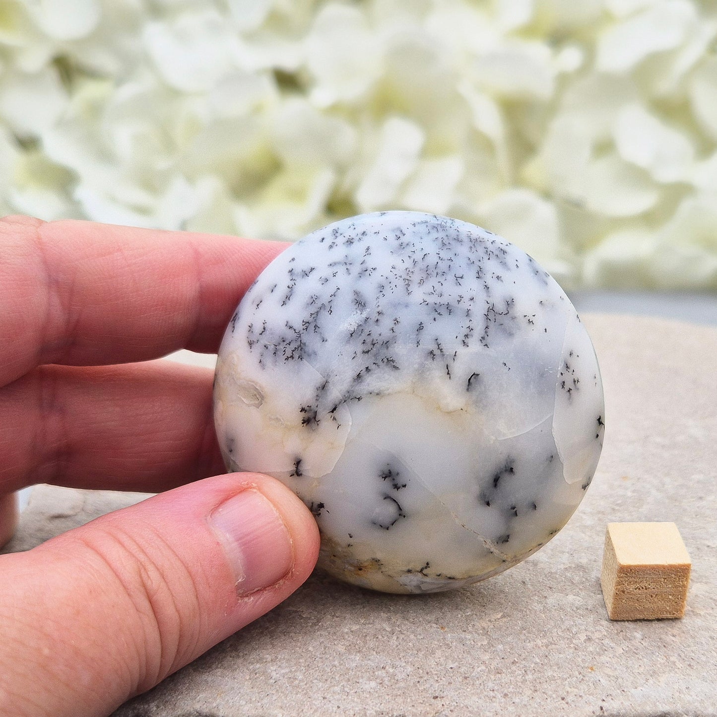 This stunning Merlinite galet from Madagascar features soft off-white and grey colouring with black dendritic (fern-like) inclusions of Psilomelane. Its polished, circular shape makes it a perfect tactile piece for meditation and spiritual work.