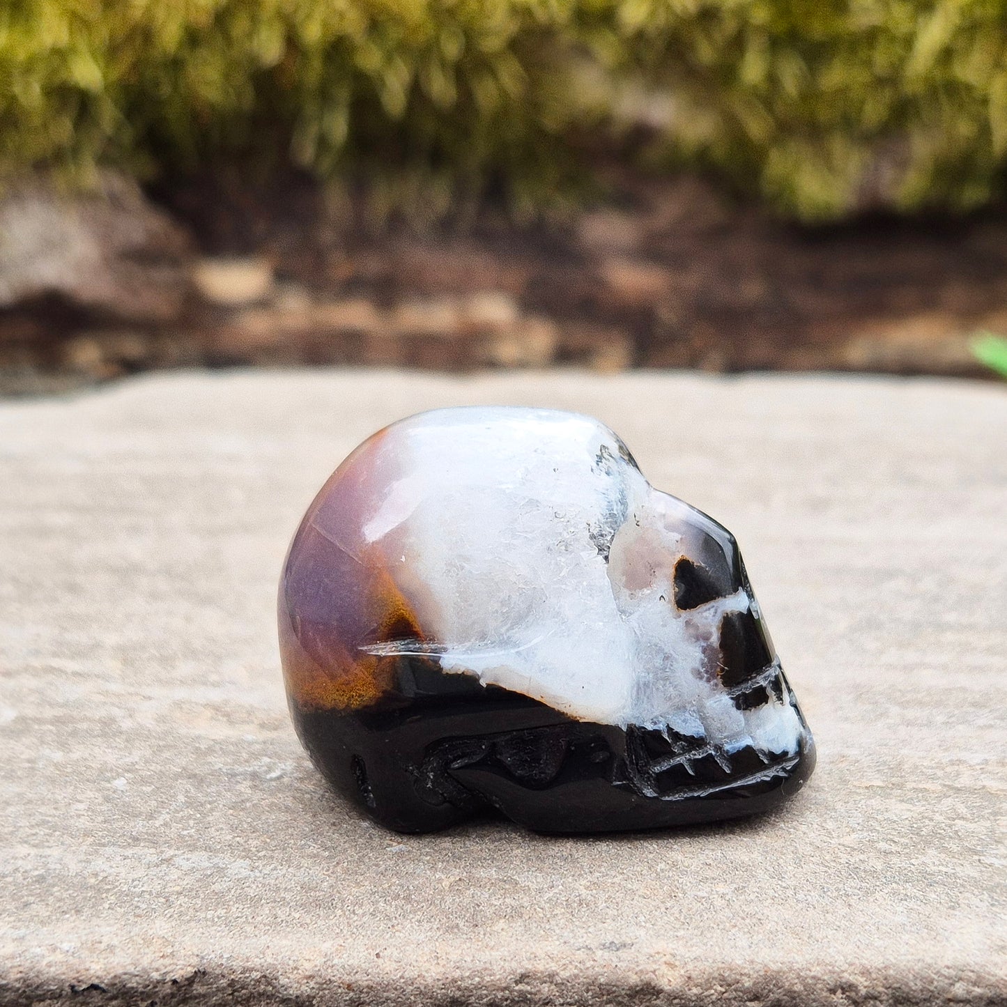 This polished Sardonyx and Jasper Skull from Brazil symbolizes ancestral wisdom, transformation, and insight — a powerful reminder to learn from the past while standing strong in the present.