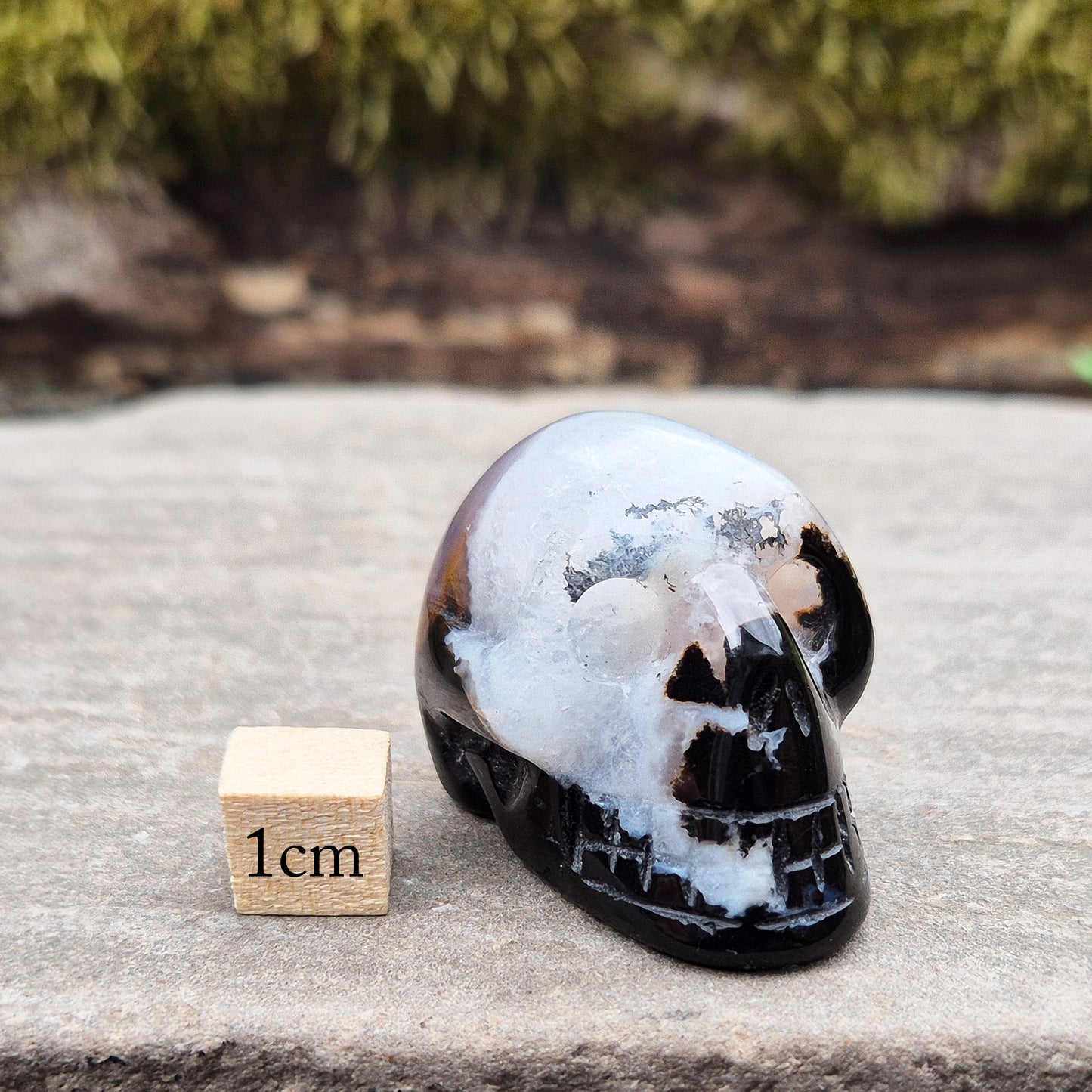 This polished Sardonyx and Jasper Skull from Brazil symbolizes ancestral wisdom, transformation, and insight — a powerful reminder to learn from the past while standing strong in the present.