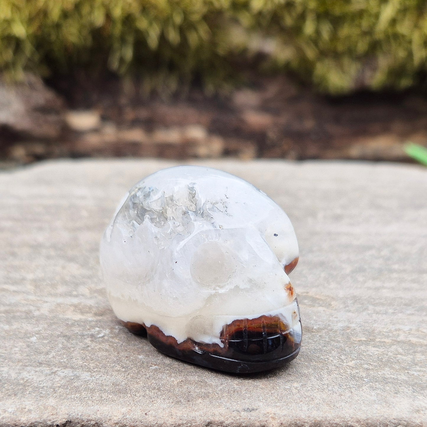 This polished Sardonyx Skull from Brazil carries the energy of ancestral knowledge, transformation, and clear inner vision — a steady reminder to stay strong in your truth while learning from the past. It features a beautiful natural cavity near the top on one side