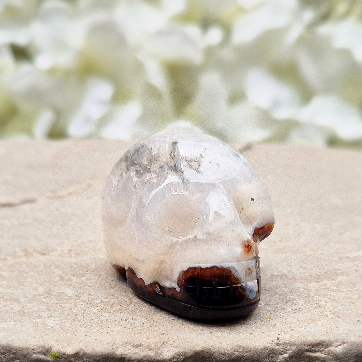 This polished Sardonyx Skull from Brazil carries the energy of ancestral knowledge, transformation, and clear inner vision — a steady reminder to stay strong in your truth while learning from the past. It features a beautiful natural cavity near the top on one side