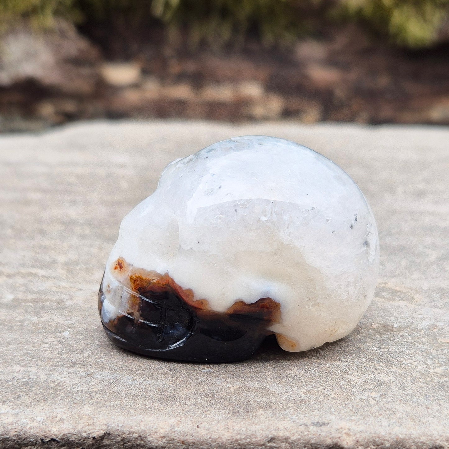 This polished Sardonyx Skull from Brazil carries the energy of ancestral knowledge, transformation, and clear inner vision — a steady reminder to stay strong in your truth while learning from the past. It features a beautiful natural cavity near the top on one side
