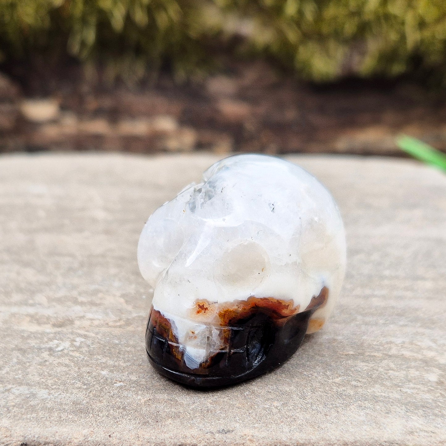 This polished Sardonyx Skull from Brazil carries the energy of ancestral knowledge, transformation, and clear inner vision — a steady reminder to stay strong in your truth while learning from the past. It features a beautiful natural cavity near the top on one side