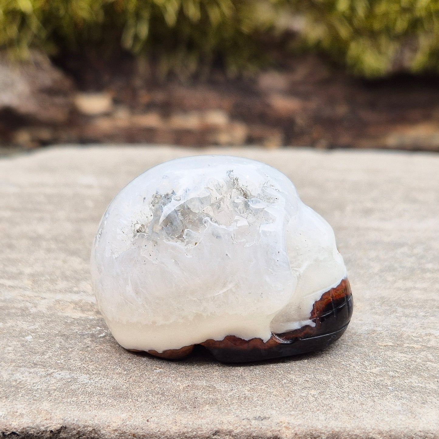 This polished Sardonyx Skull from Brazil carries the energy of ancestral knowledge, transformation, and clear inner vision — a steady reminder to stay strong in your truth while learning from the past. It features a beautiful natural cavity near the top on one side
