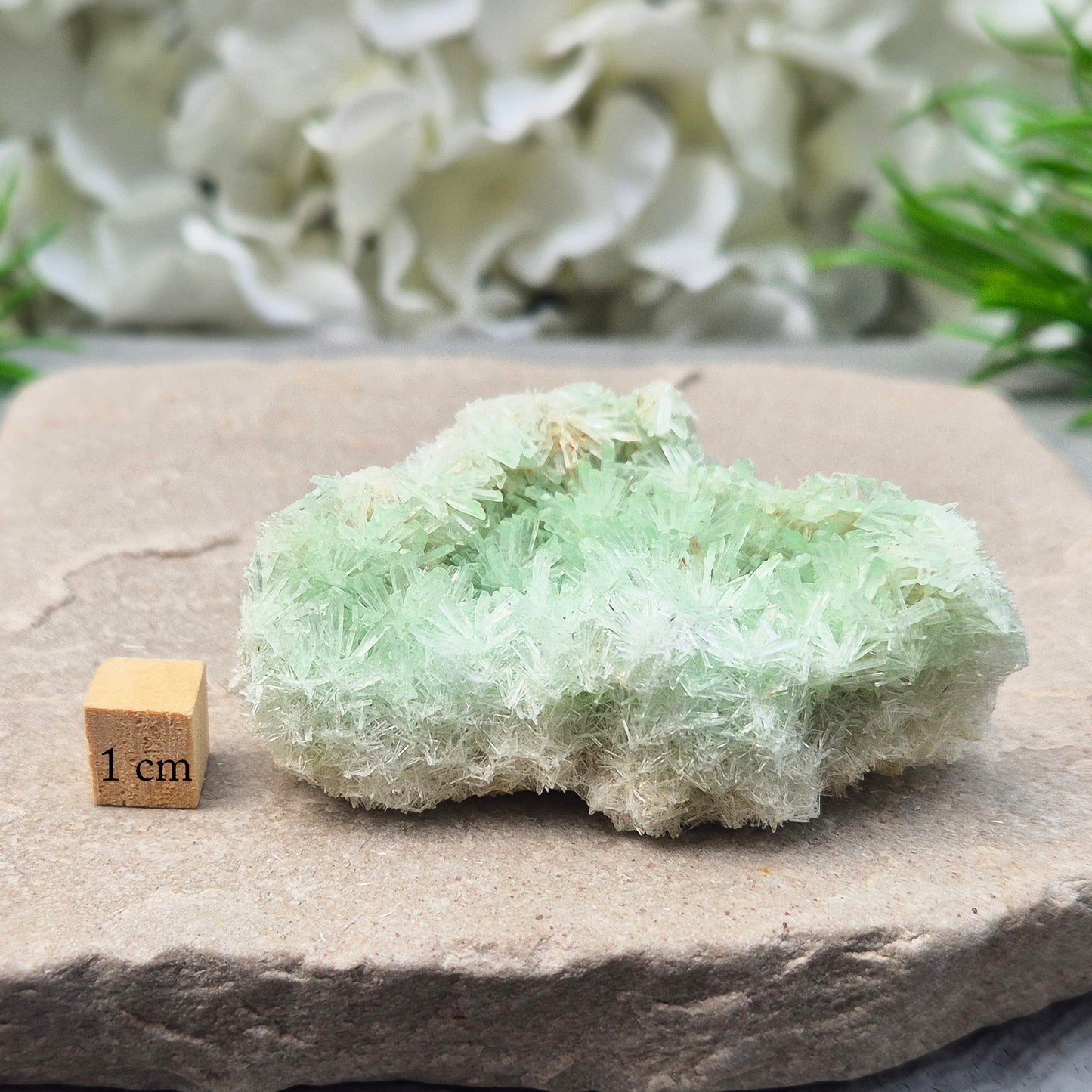 Green Gypsum Cluster – Rare, Natural | Gentle Crystal for Peace & Emotional Balance | Crystal Collectible