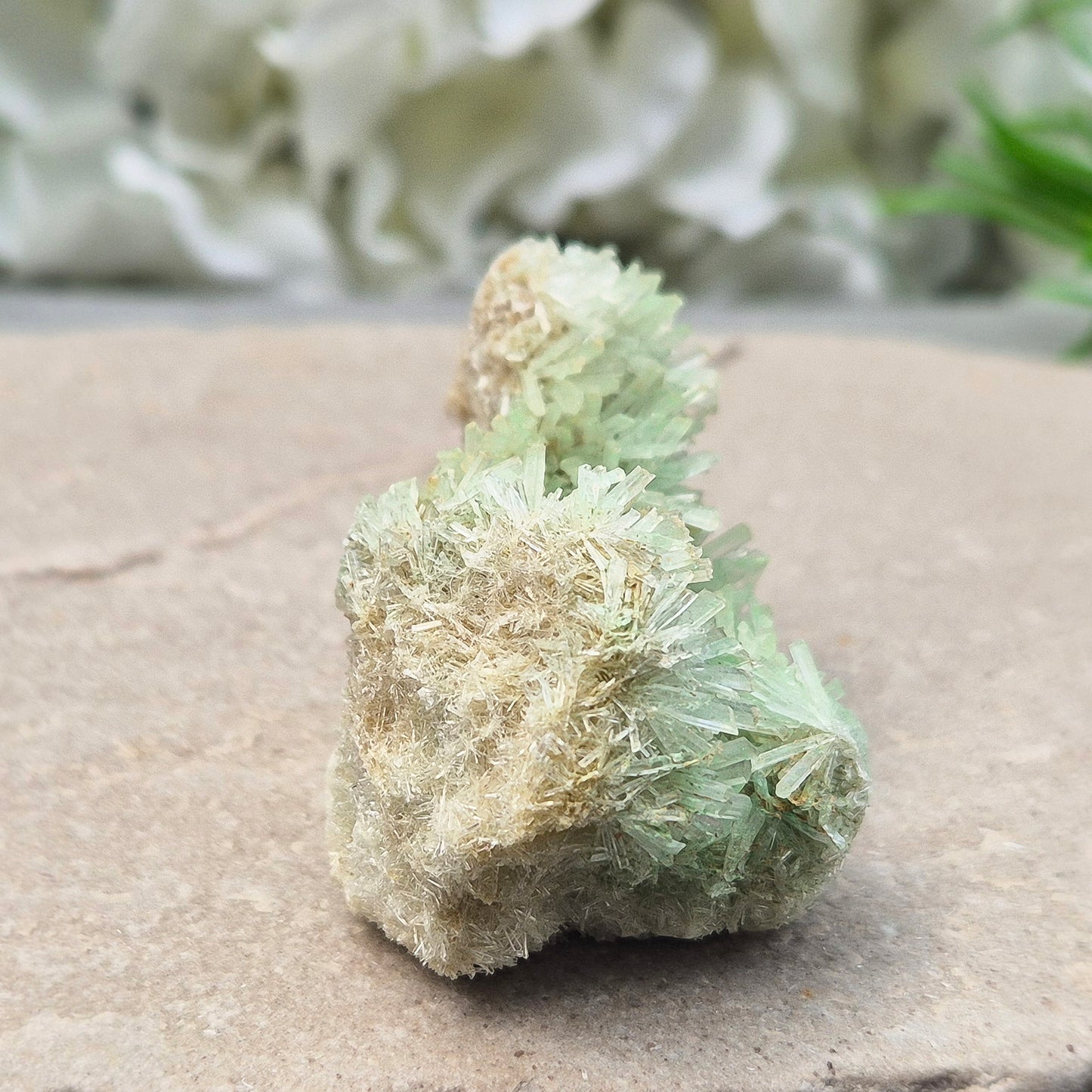 This rare Green Gypsum Cluster comes from Southern Australia. It features delicate needle-like crystals in pale green and white sprays. These clusters are uncommon and highly collectible, this cluster brings a soft yet powerful energy to any space or collection.