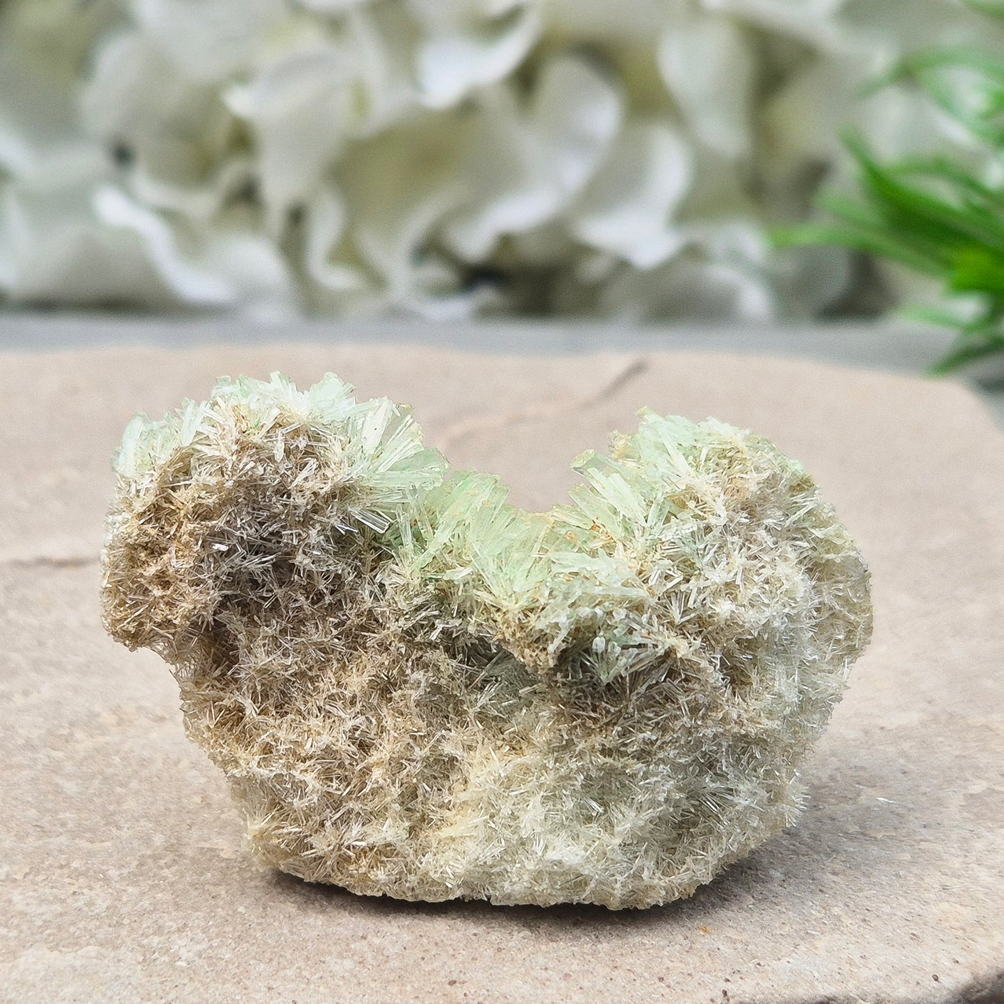 This rare Green Gypsum Cluster comes from Southern Australia. It features delicate needle-like crystals in pale green and white sprays. These clusters are uncommon and highly collectible, this cluster brings a soft yet powerful energy to any space or collection.