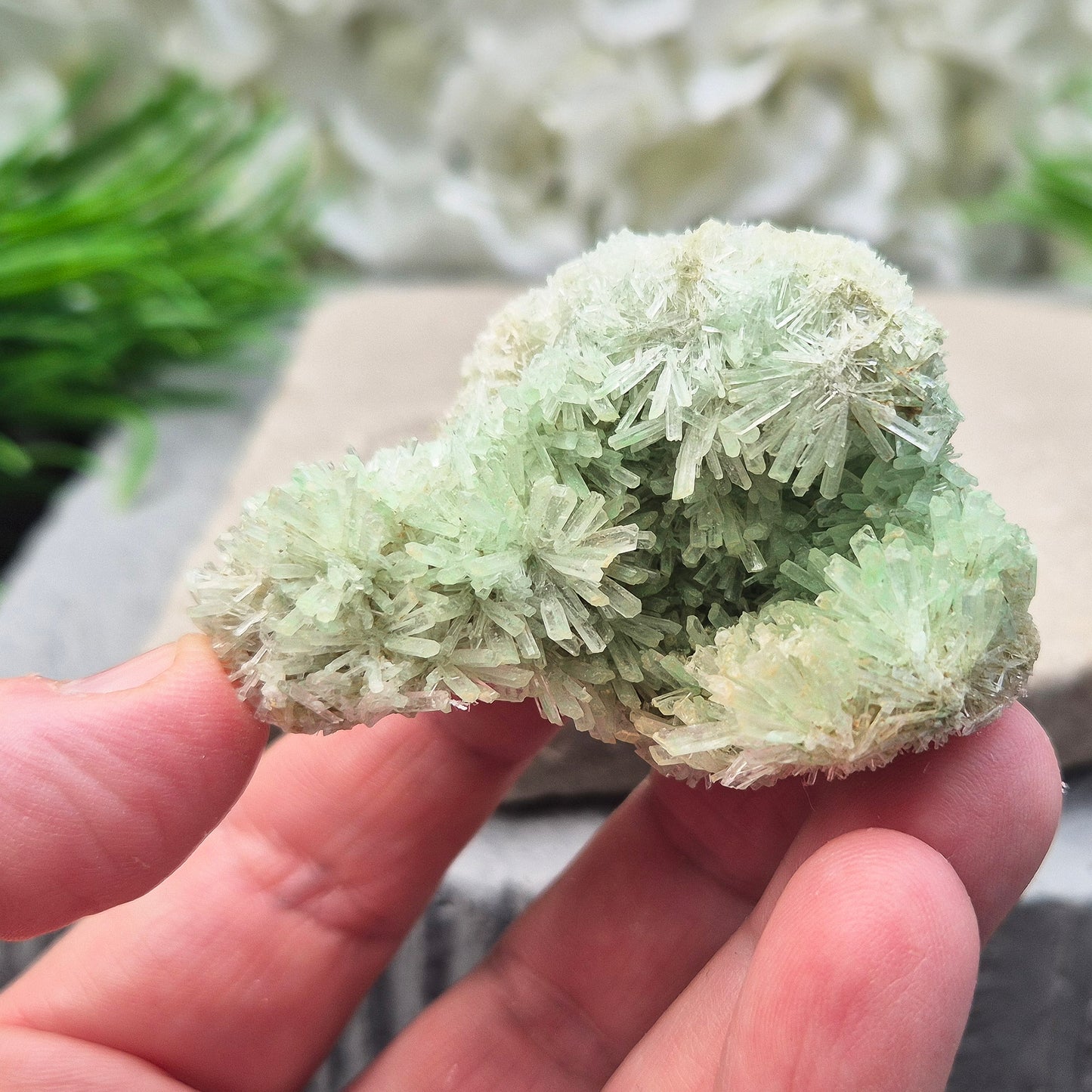 Green Gypsum Cluster – Rare, Natural | Perfect for Healing & Calm Vibes | Crystal Collectible