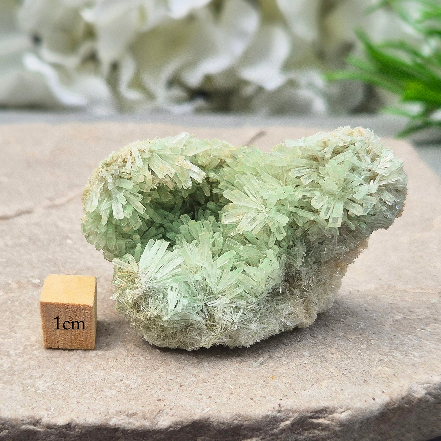 Green Gypsum Cluster – Rare, Natural | Perfect for Healing & Calm Vibes | Crystal Collectible