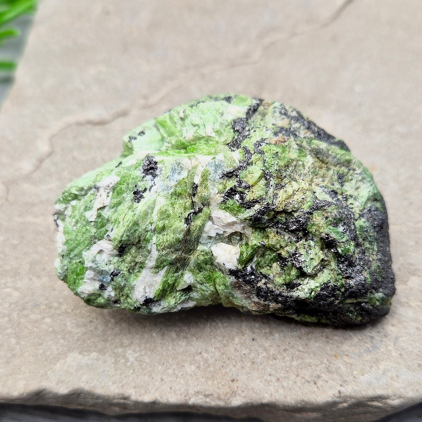 Tremolite (Green) from Merelani, Tanzania, Natural | Rare Heart Chakra Awakener