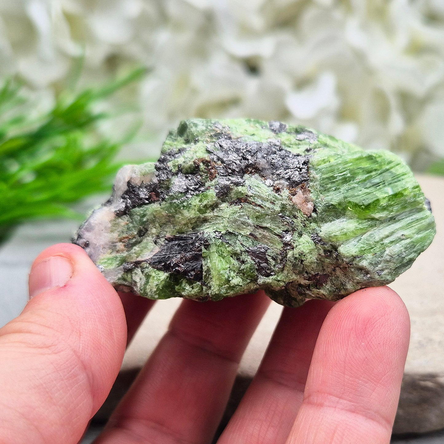 This truly rare natural green tremolite comes straight from the renowned Merelani Hills of Tanzania — the same region that gave us Tanzanite. It’s a stone of gentle energetic awakening, with soft green blades of tremolite.