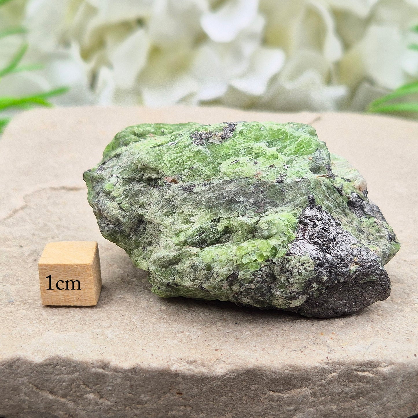 Green Tremolite, Merelani Tanzania, Natural | Rare Heart Chakra Stone