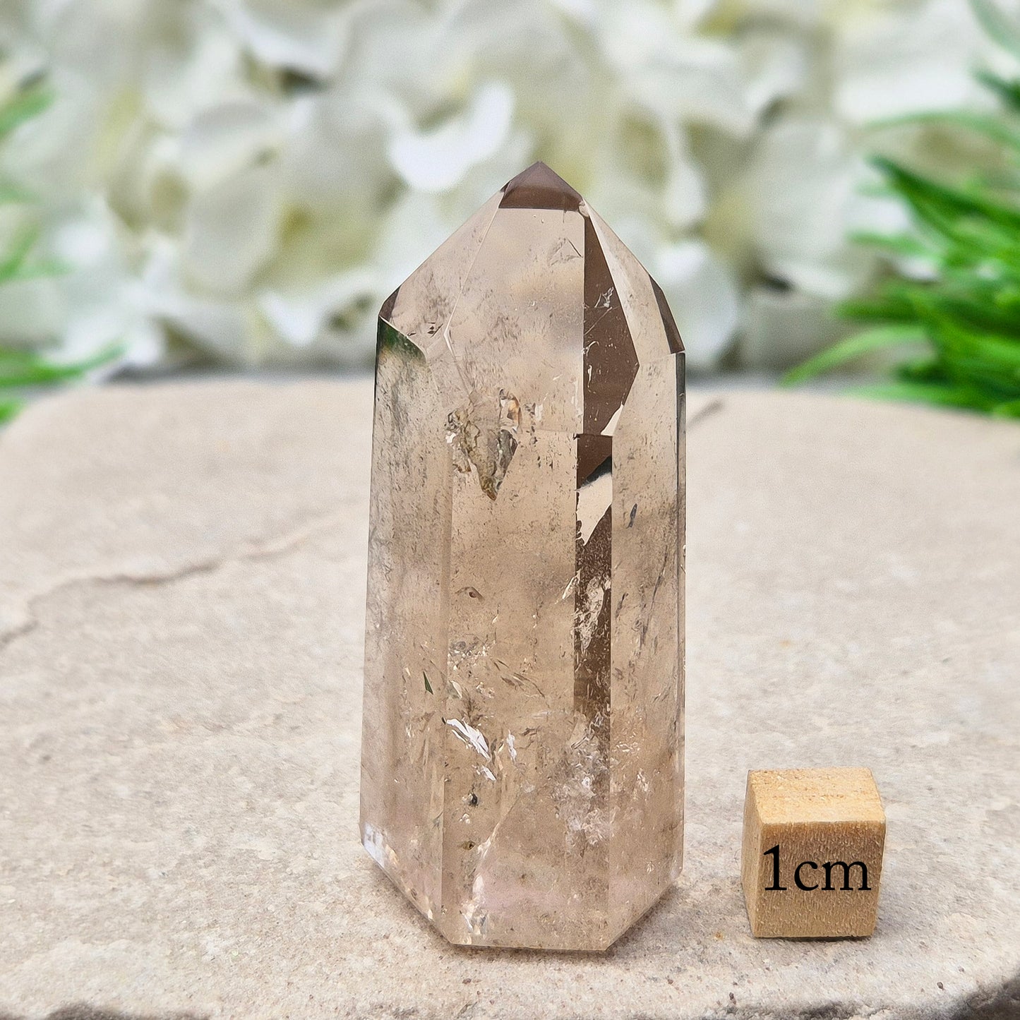 This polished Smoky Quartz point from Brazil features a light brown tone with subtle, light-reflecting inclusions. It’s not heat-treated — this is genuine, naturally formed Smoky Quartz.