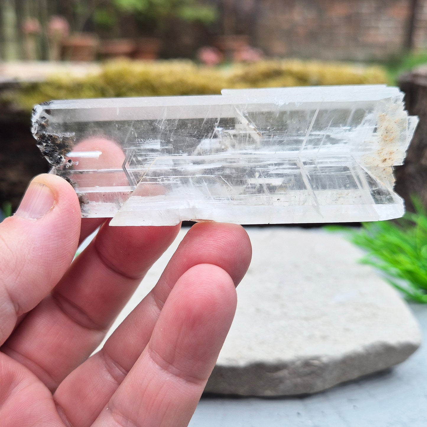 This striking natural Gypsum natural wand from Mexico is absolutely wonderful. Long and flat, it’s a beautifully clear piece with a high sheen and natural striations running through the blade. It’s one of those crystals that feels like it was meant to be held — light yet solid, and full of presence.