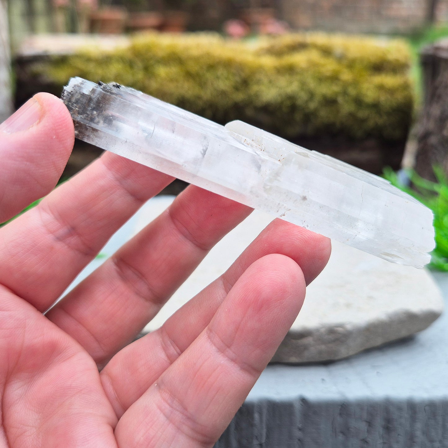 This striking natural Gypsum natural wand from Mexico is absolutely wonderful. Long and flat, it’s a beautifully clear piece with a high sheen and natural striations running through the blade. It’s one of those crystals that feels like it was meant to be held — light yet solid, and full of presence.