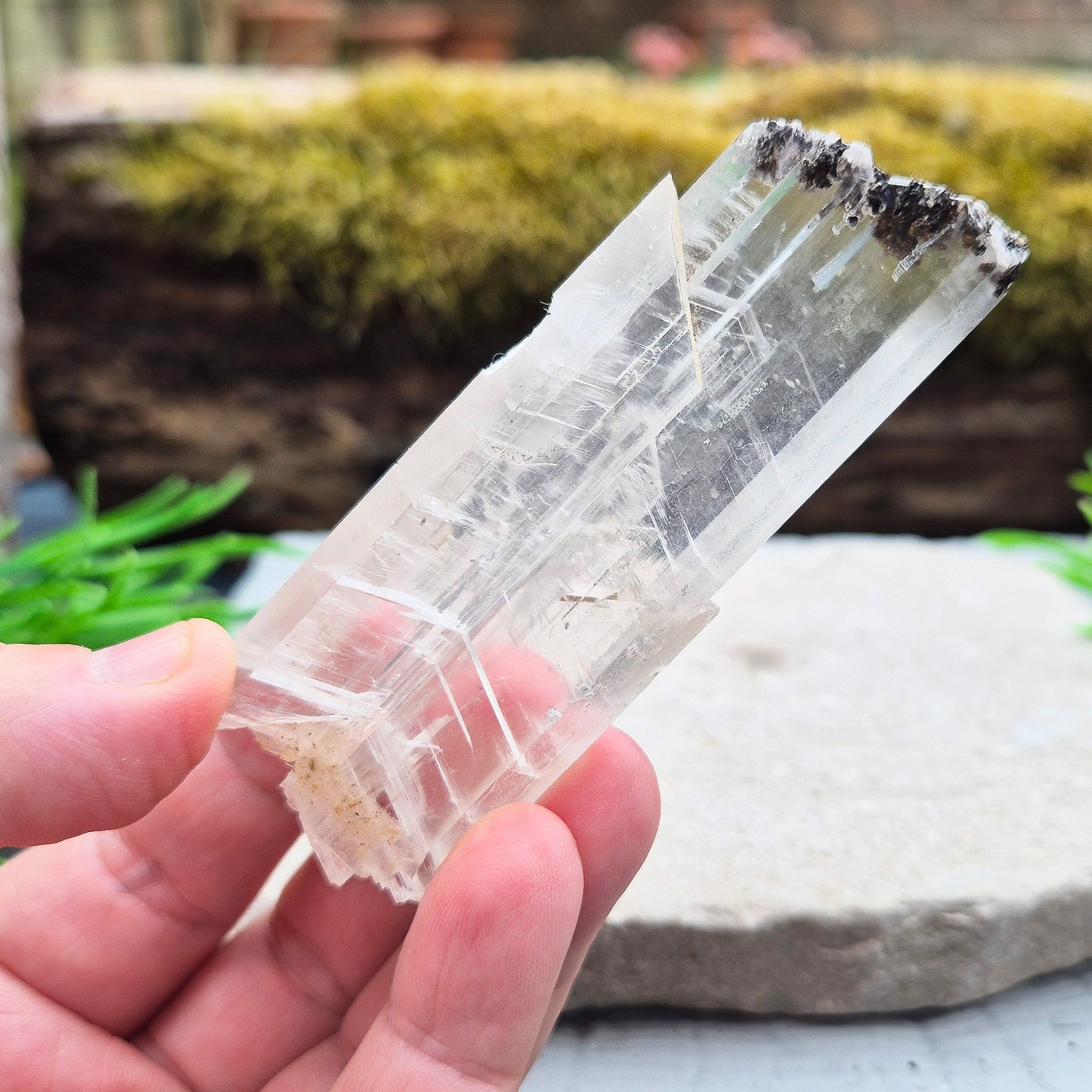 This striking natural Gypsum natural wand from Mexico is absolutely wonderful. Long and flat, it’s a beautifully clear piece with a high sheen and natural striations running through the blade. It’s one of those crystals that feels like it was meant to be held — light yet solid, and full of presence.