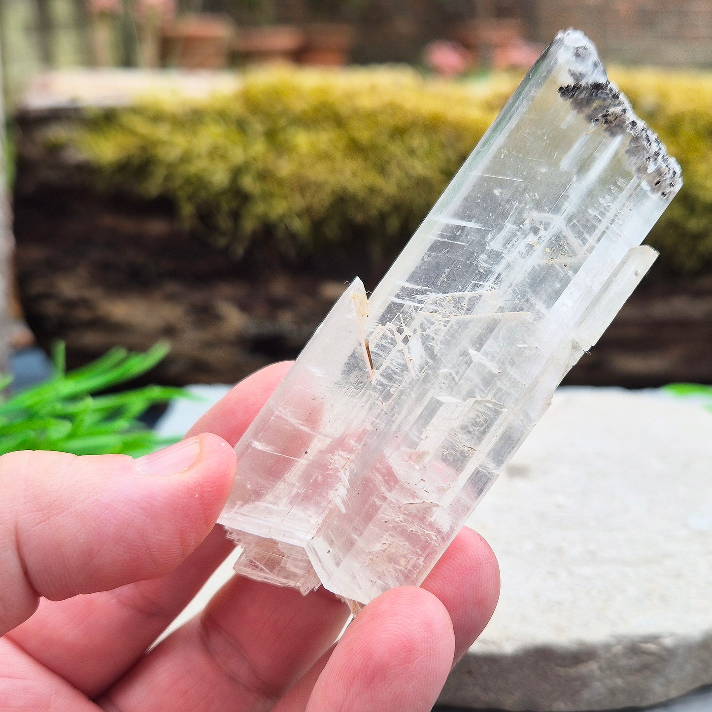This striking natural Gypsum natural wand from Mexico is absolutely wonderful. Long and flat, it’s a beautifully clear piece with a high sheen and natural striations running through the blade. It’s one of those crystals that feels like it was meant to be held — light yet solid, and full of presence.