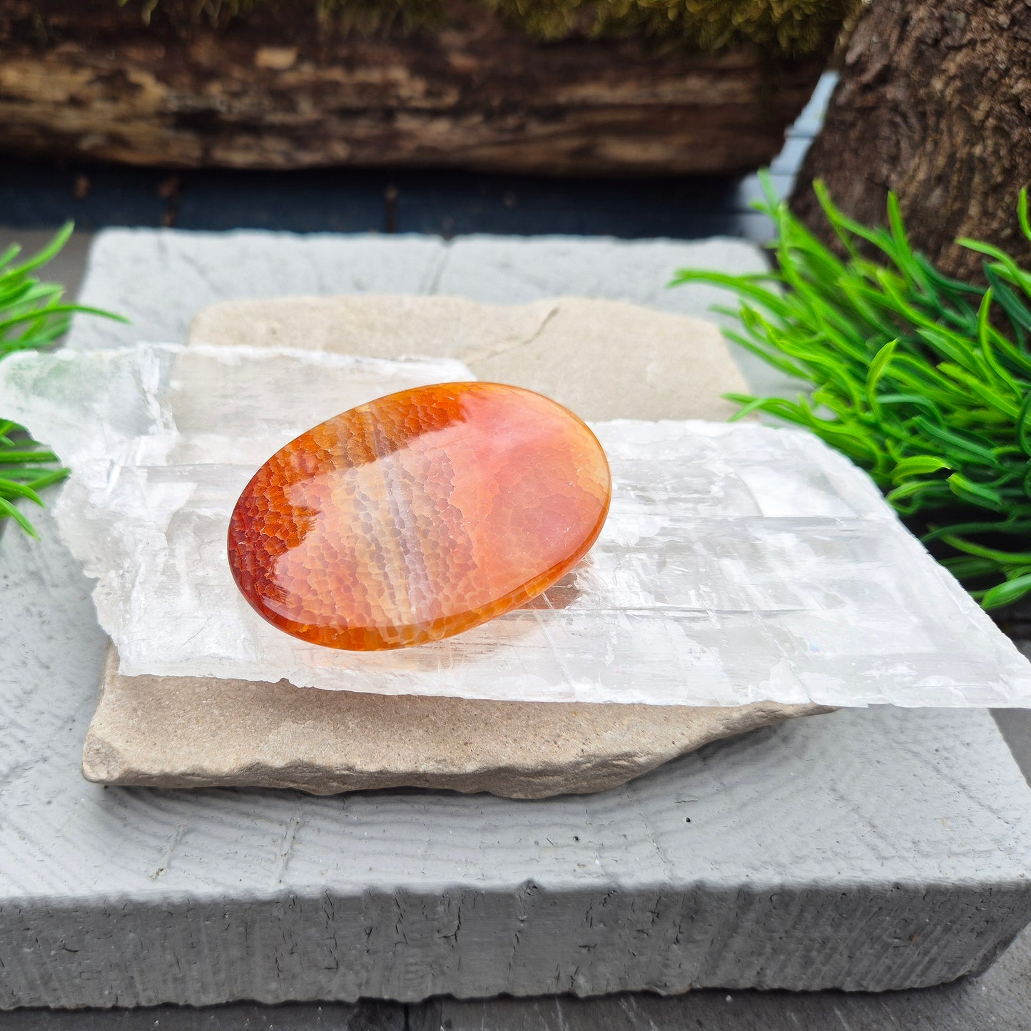 Selenite Window – “Utah Ice” Crystal, True Selenite | Ideal for Meditation & Energy Work | Crystal Collectors Gift Idea