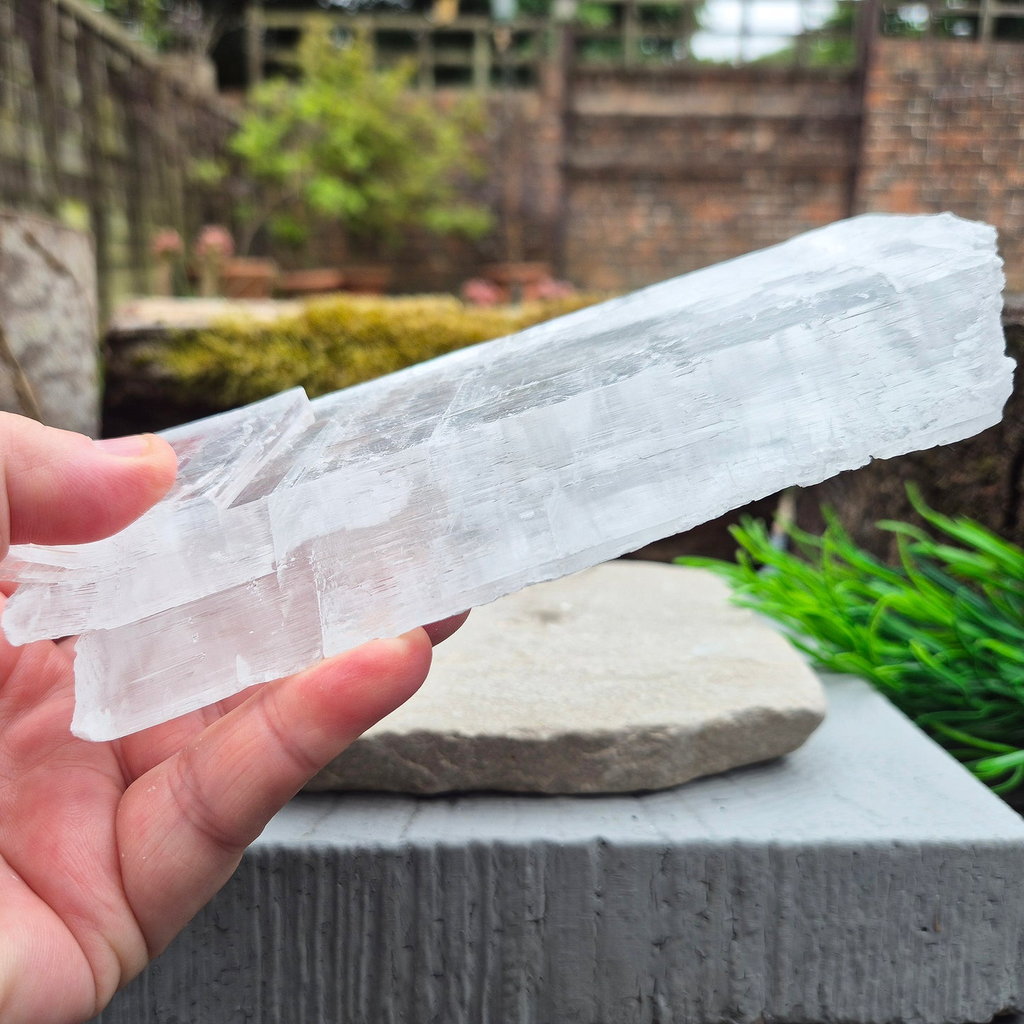 Selenite Window – “Utah Ice” Crystal, True Selenite | Ideal for Meditation & Energy Work | Crystal Collectors Gift Idea