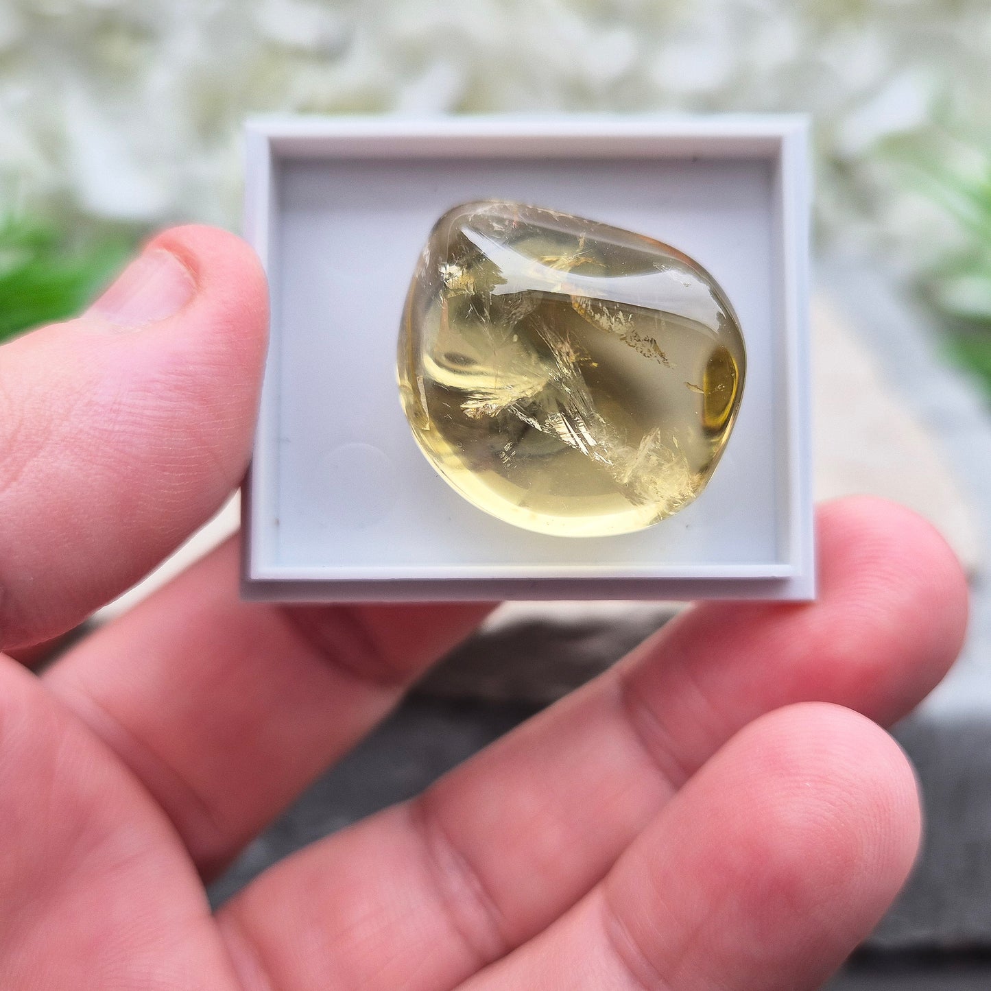 Green Gold Quartz from Brazil in display box. Treated olive quartz for insight, goal setting, and strong, stable energy.