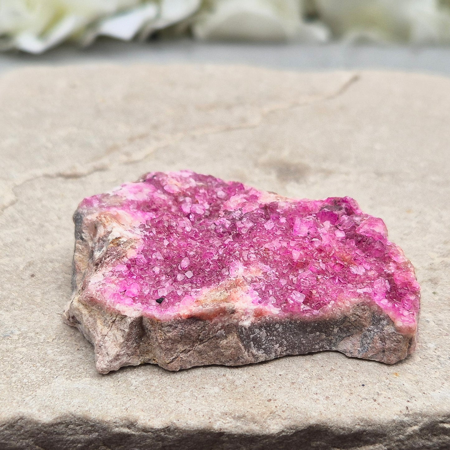 This vibrant Cobalto Calcite Cluster features sparkling fuchsia-pink crystals. This crystal is deeply connected to the heart’s energy—supporting emotional healing, loving awareness, and gentle transformation.