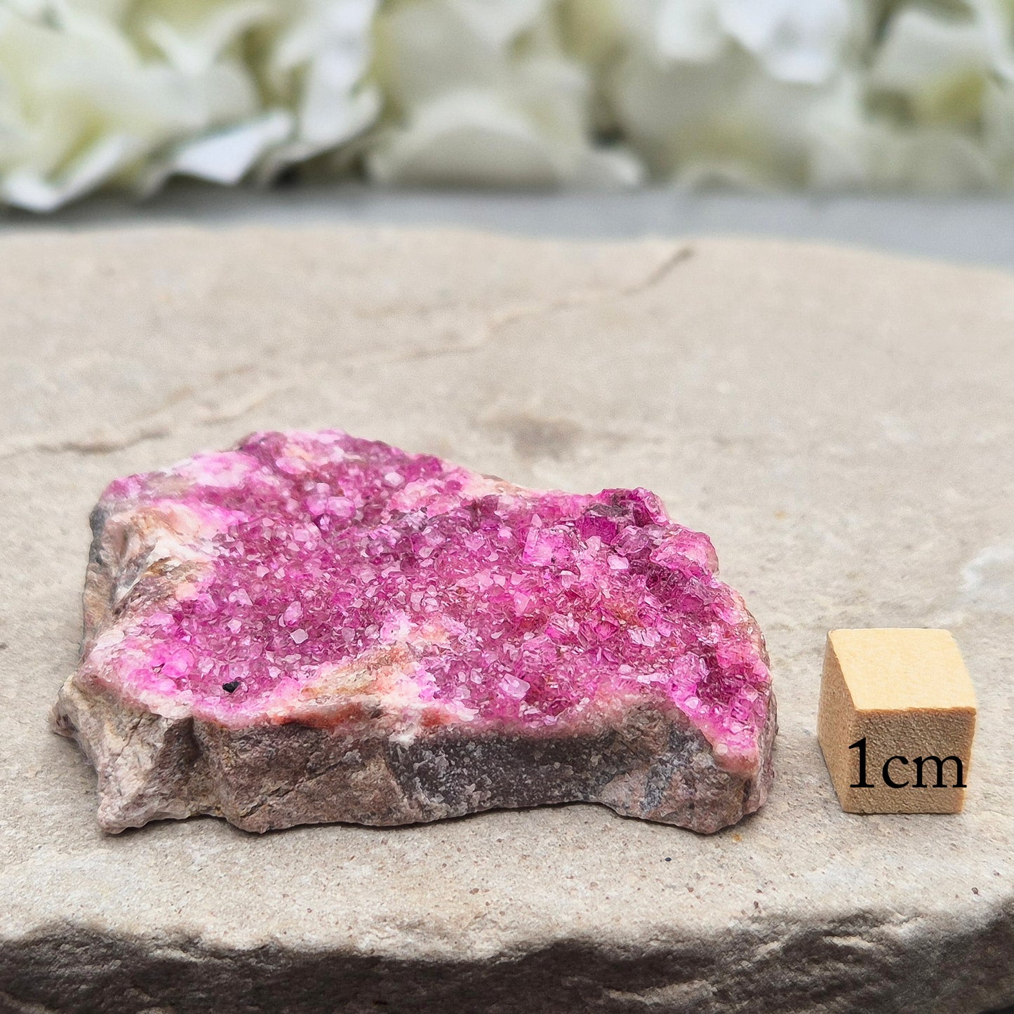 Cobalto Calcite Crystal Cluster | Unconditional Love | Pink Flame Crystal | Feng Shui