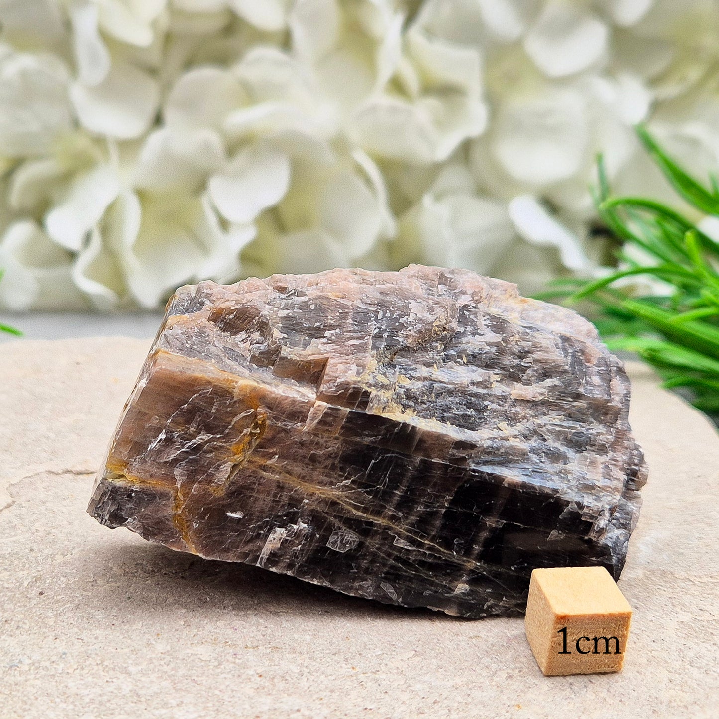 Black Moonstone from Madagascar. This natural piece features deep grey to black tones with a subtle shimmer. A unique variety of moonstone, it’s known for its grounding and reflective qualities.