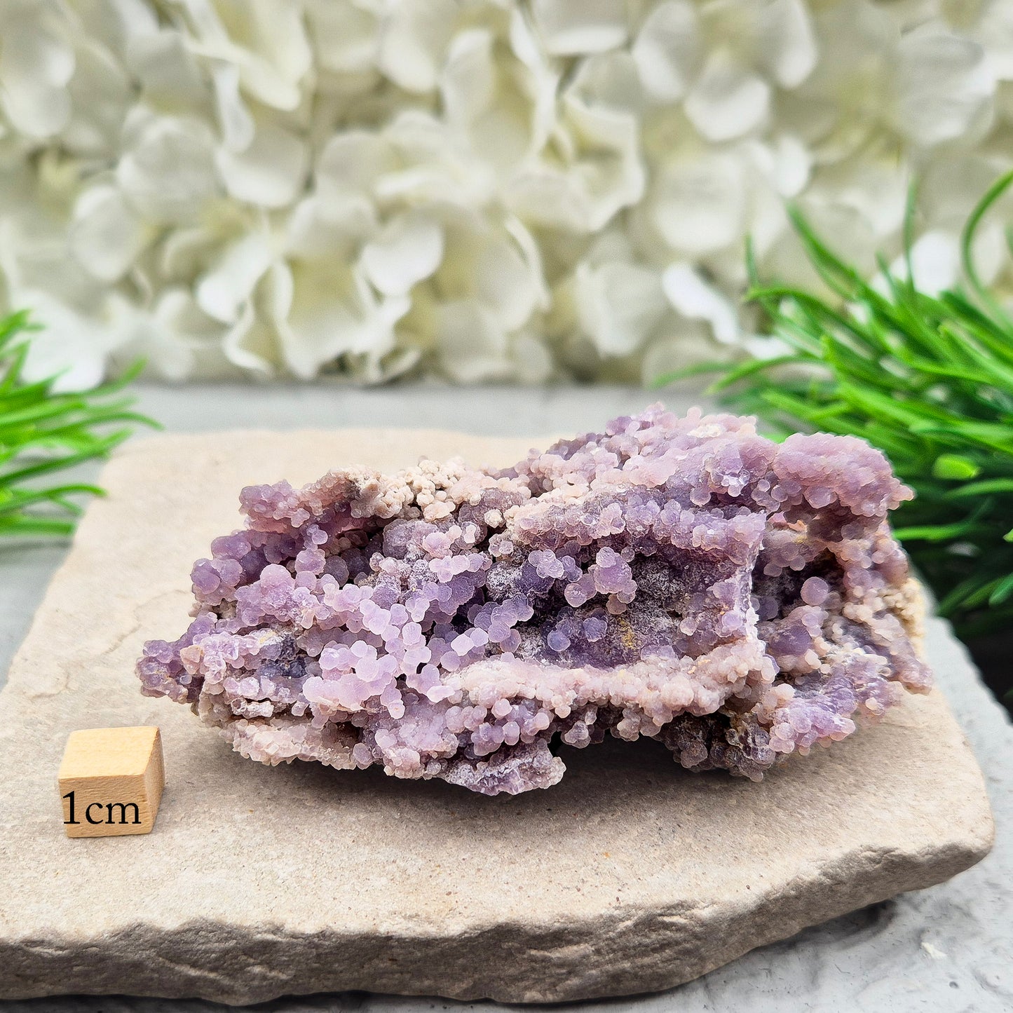This beautiful Grape Agate cluster (also known as Purple Chalcedony or Botryoidal Purple Chalcedony) comes from Indonesia. Its natural ‘grape-like’ formations are made up of tiny rounded crystals that have grown closely together.