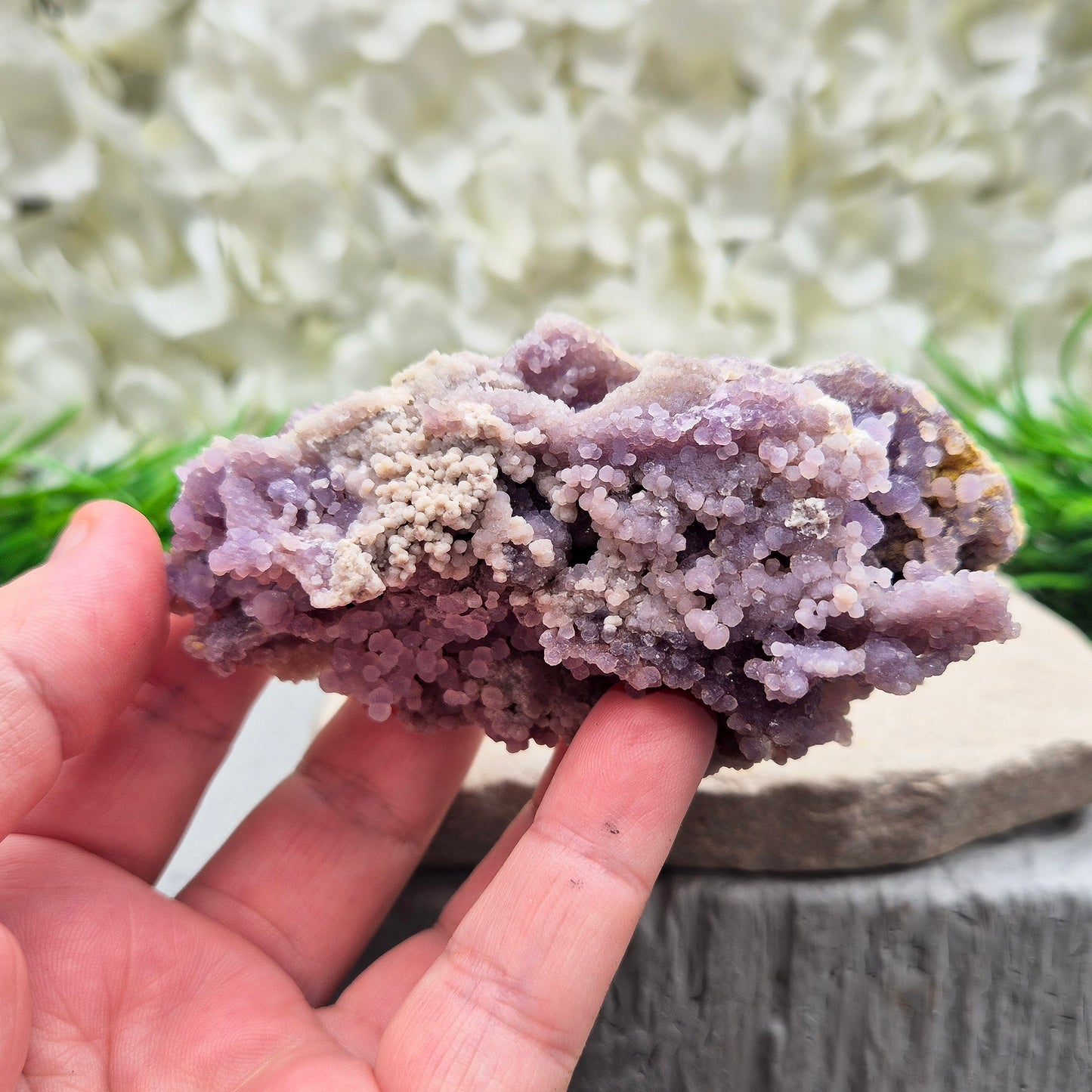 Grape Agate | Purple Chalcedony | Botryoidal Purple Chalcedony | High-Frequency Spiritual Stone | Crystal Display