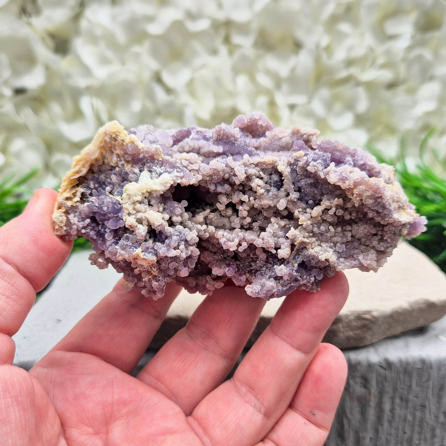 Grape Agate | Purple Chalcedony | Botryoidal Purple Chalcedony | High-Frequency Spiritual Stone | Crystal Display