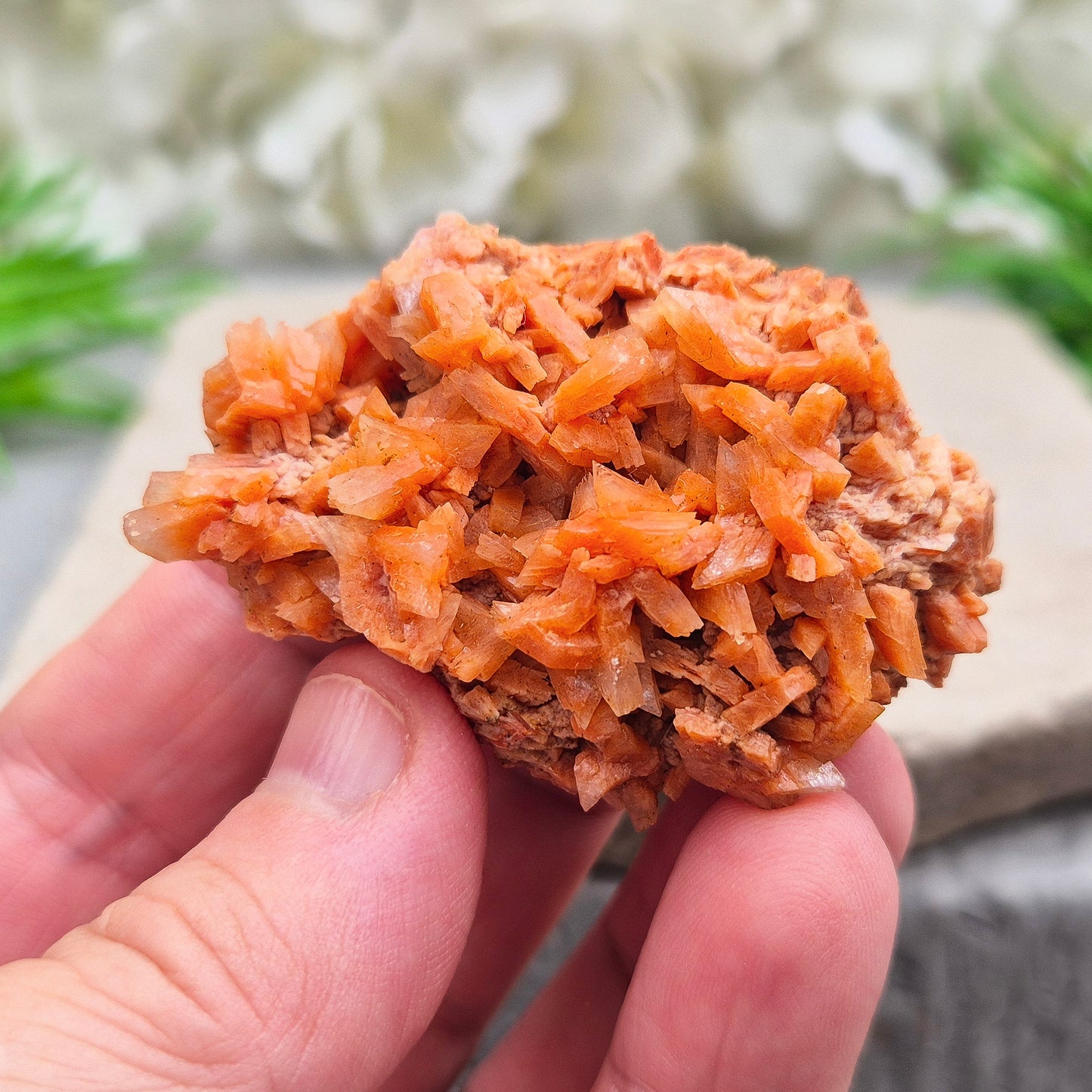 This vibrant Red Heulandite cluster from India showcases naturally formed microcrystalline quartz in rich red tones. Its a supportive crystal for emotional balance, spiritual growth, and intuitive work.