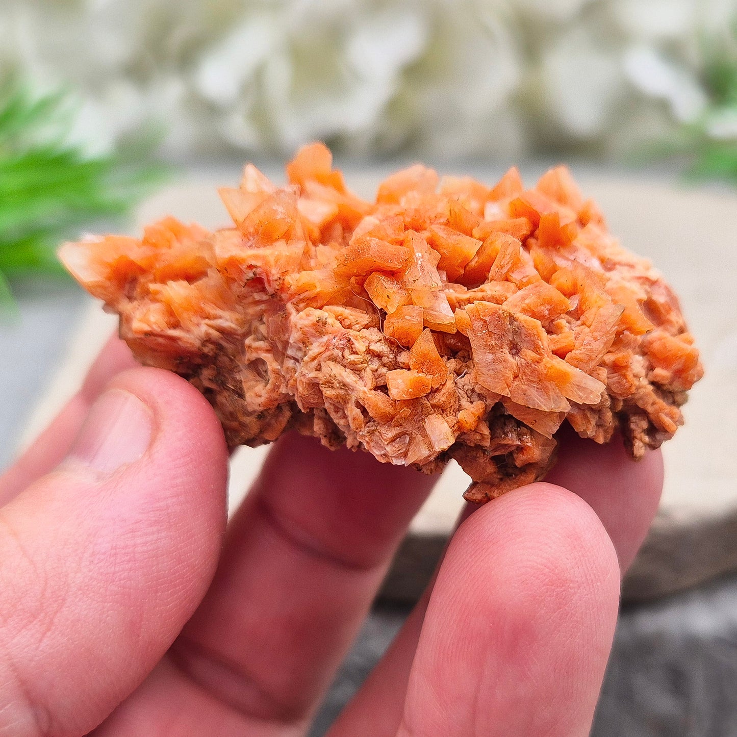 This vibrant Red Heulandite cluster from India showcases naturally formed microcrystalline quartz in rich red tones. Its a supportive crystal for emotional balance, spiritual growth, and intuitive work.