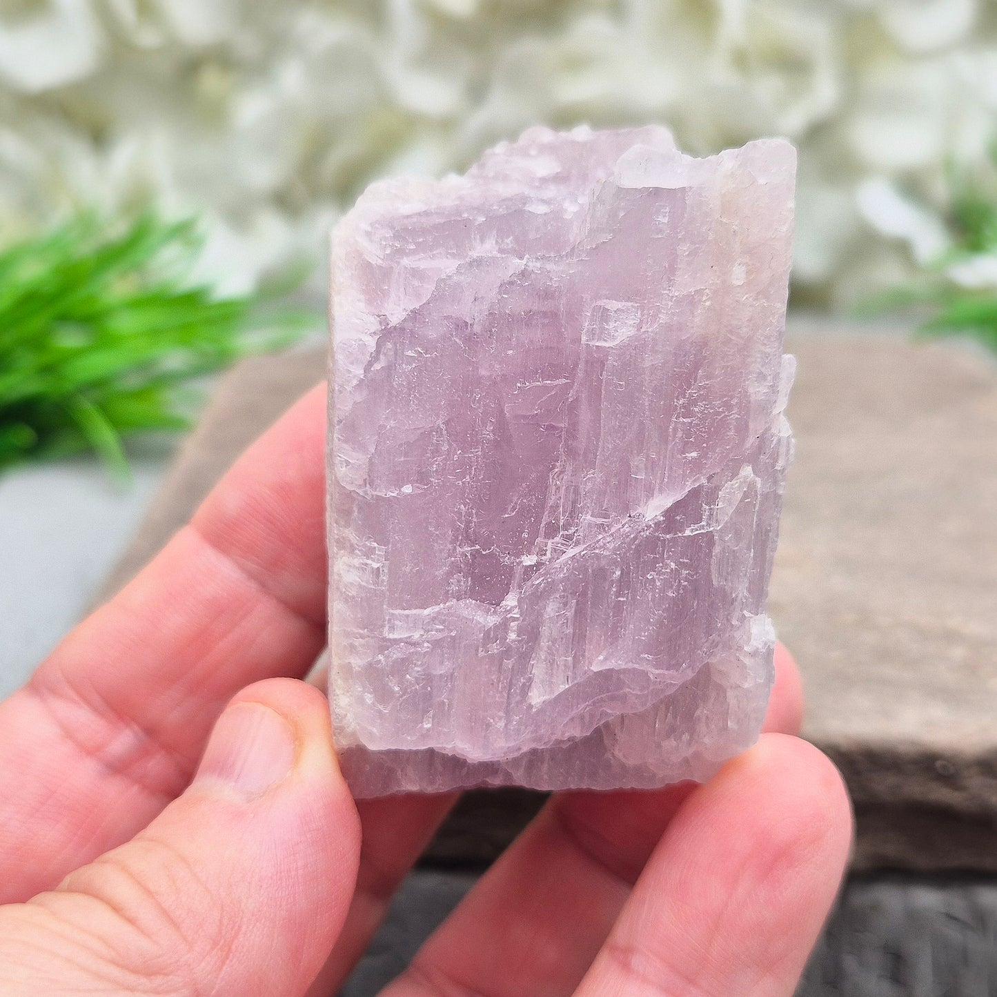 Natural Kunzite Crystal from Brazil. This elegant piece features a soft pink-lilac hue with a lovely shiny lustre. Its gentle, high-vibration energy encourages love, peace, and emotional balance