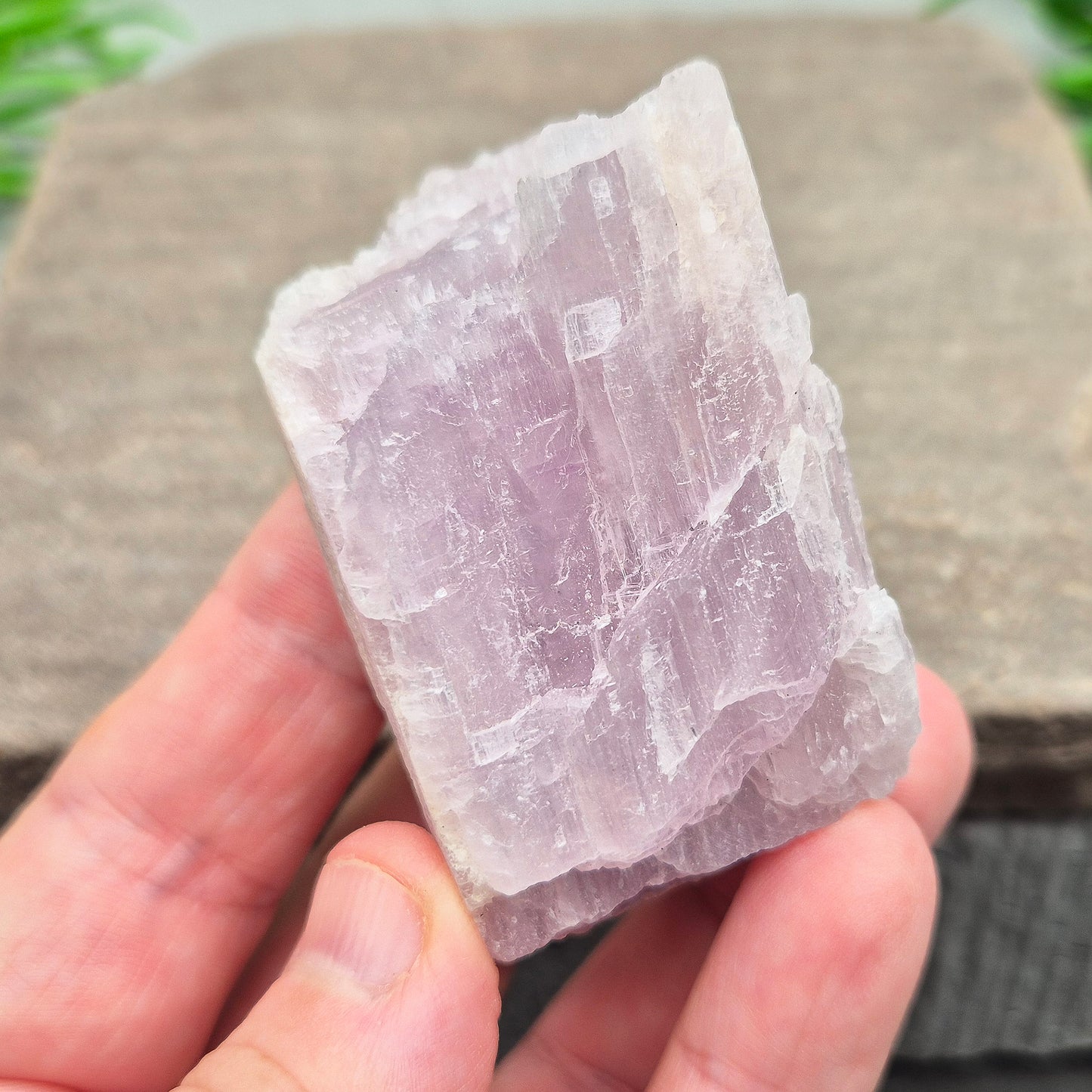 Natural Kunzite Crystal from Brazil. This elegant piece features a soft pink-lilac hue with a lovely shiny lustre. Its gentle, high-vibration energy encourages love, peace, and emotional balance