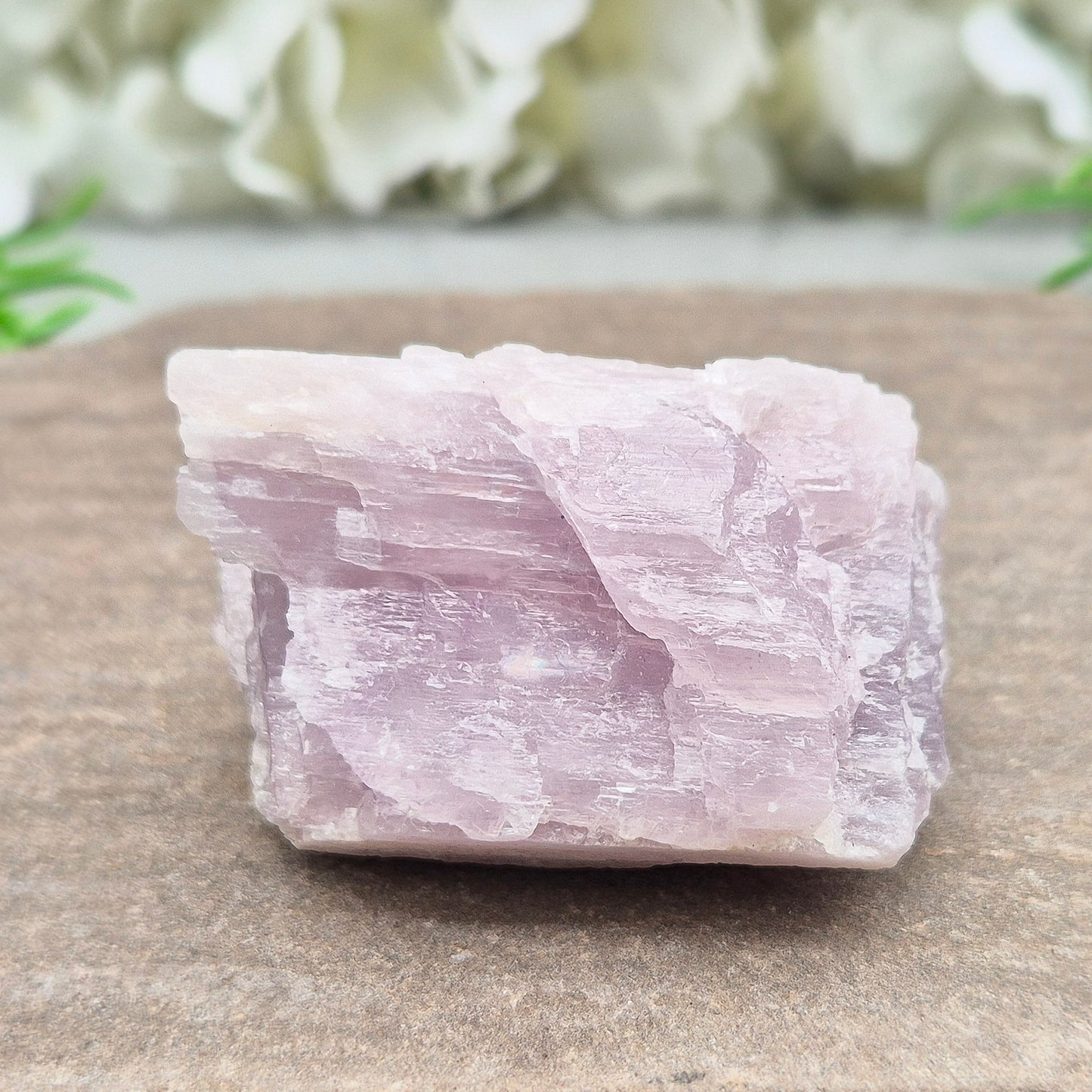 Natural Kunzite Crystal from Brazil. This elegant piece features a soft pink-lilac hue with a lovely shiny lustre. Its gentle, high-vibration energy encourages love, peace, and emotional balance