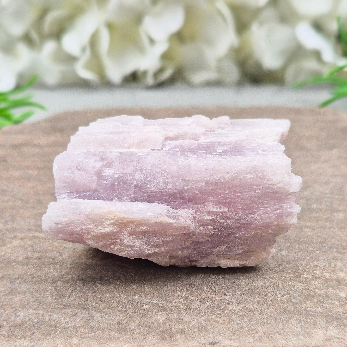 Natural Kunzite Crystal from Brazil. This elegant piece features a soft pink-lilac hue with a lovely shiny lustre. Its gentle, high-vibration energy encourages love, peace, and emotional balance