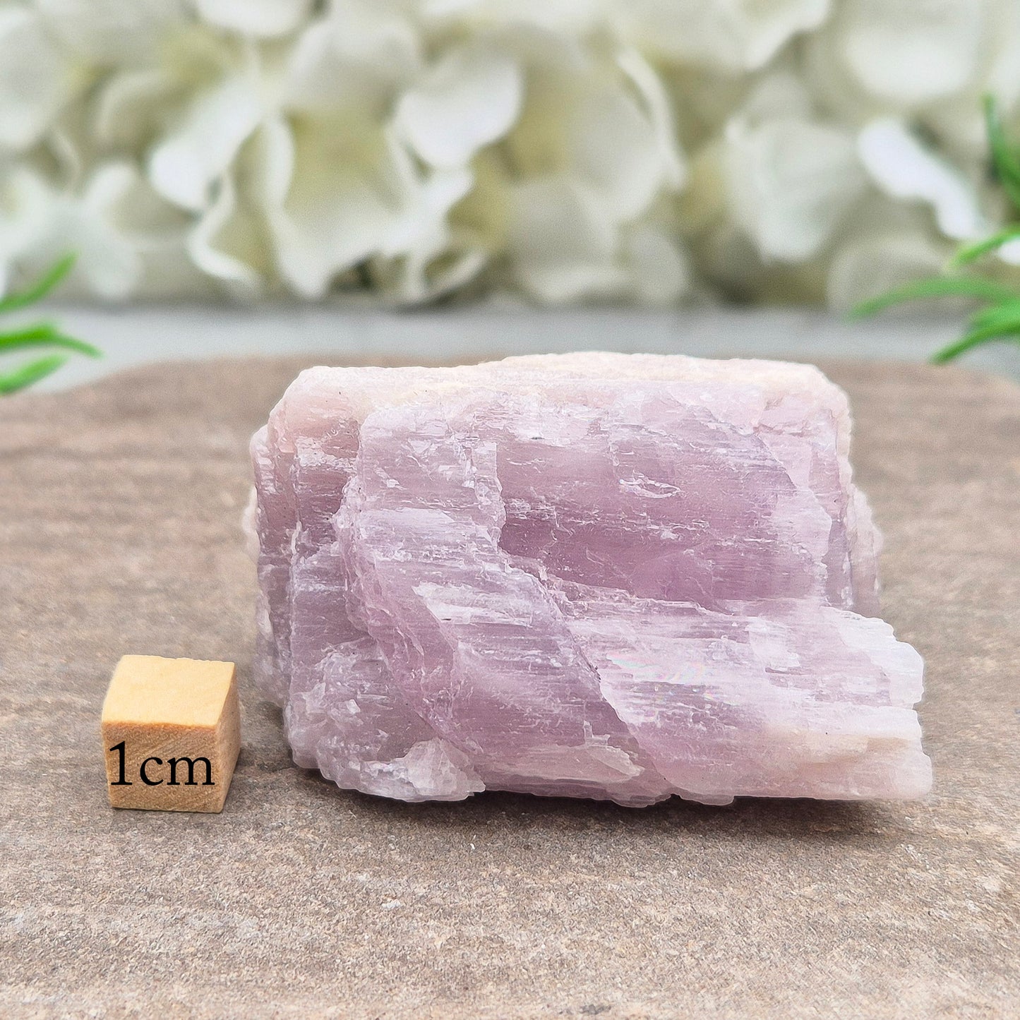 Kunzite, Natural | A beautiful crystal valued for Calm, Balance & Positive Energy | Crystal Collectors Gift